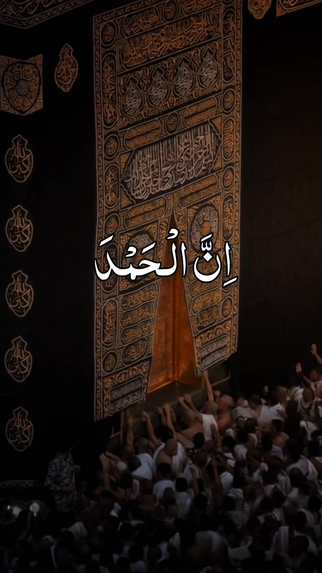 @❣️ Words of Allah ❣️