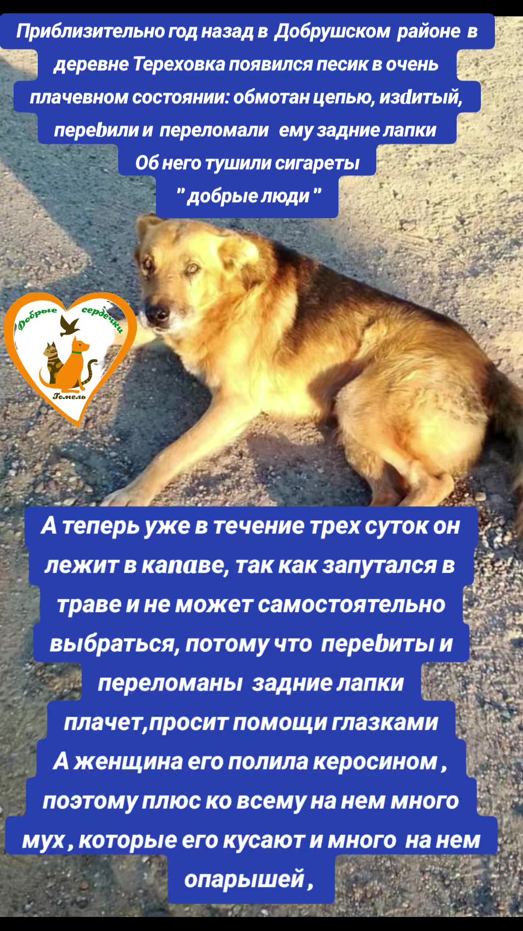 @Марина