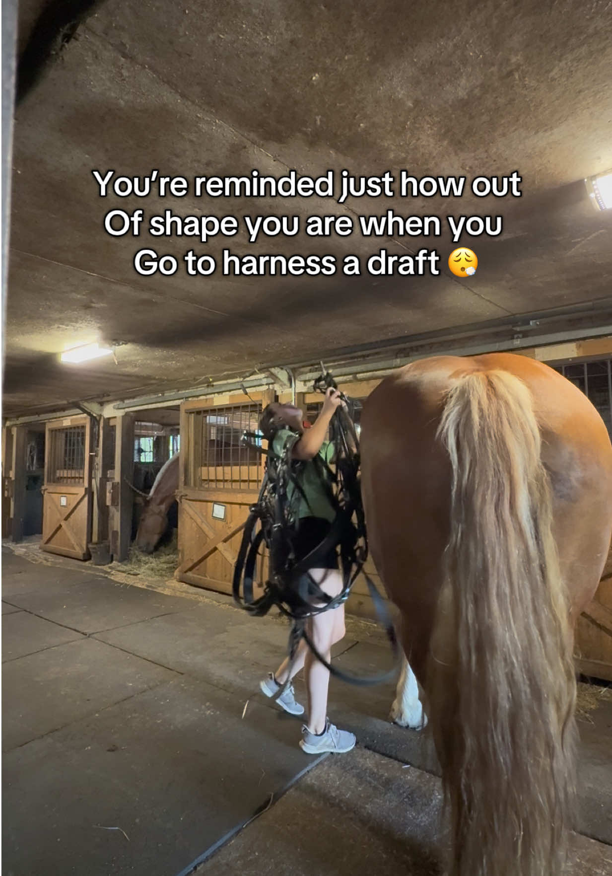 @HorsesFirst