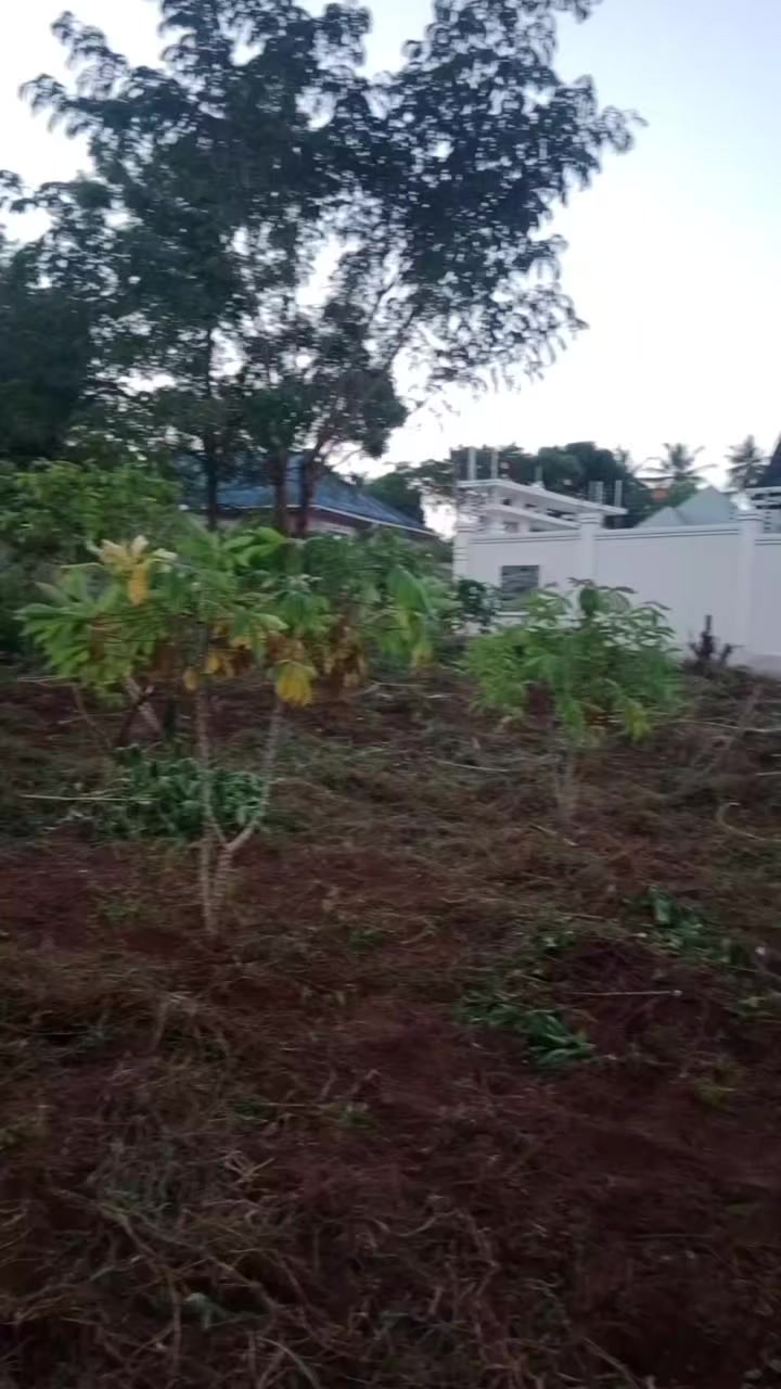 @dalali msomi pugu chanika