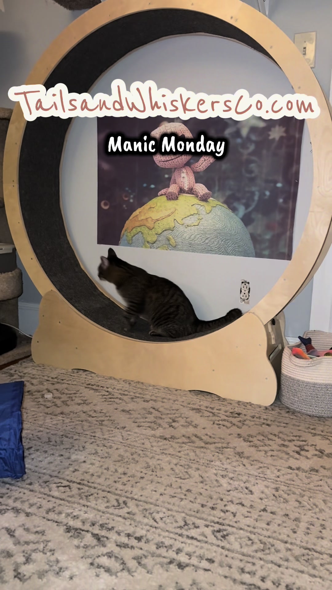 @TailsandWhiskersCo