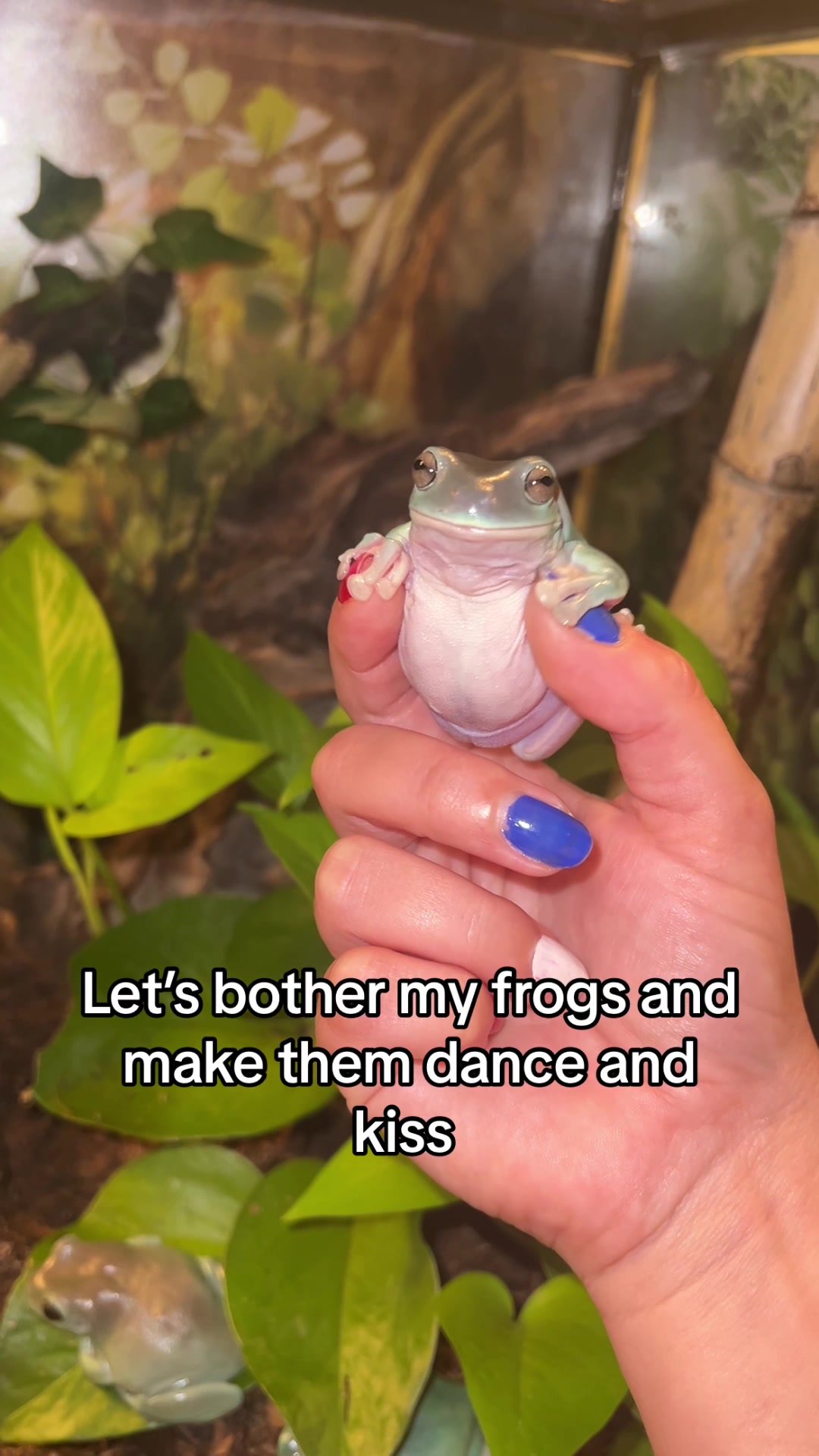 @Crazycaimanlady