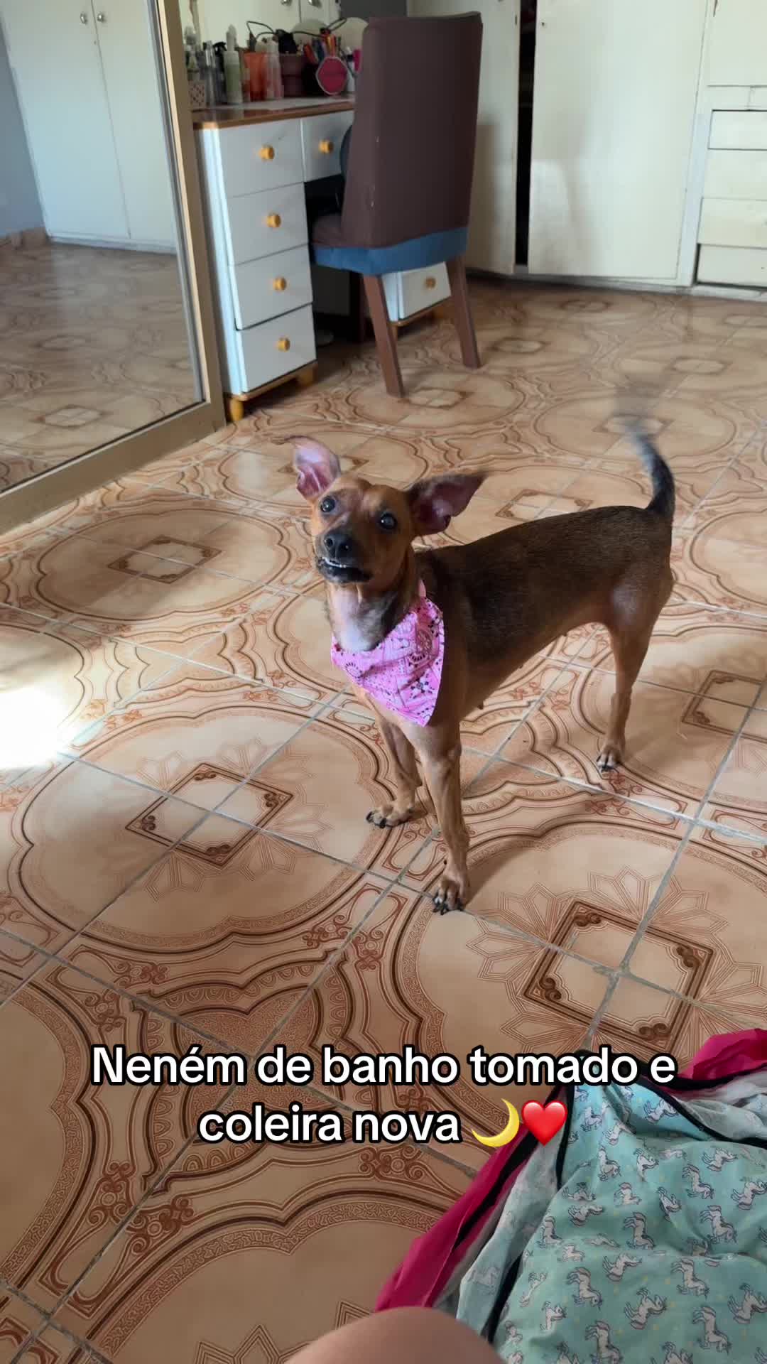 @Lua