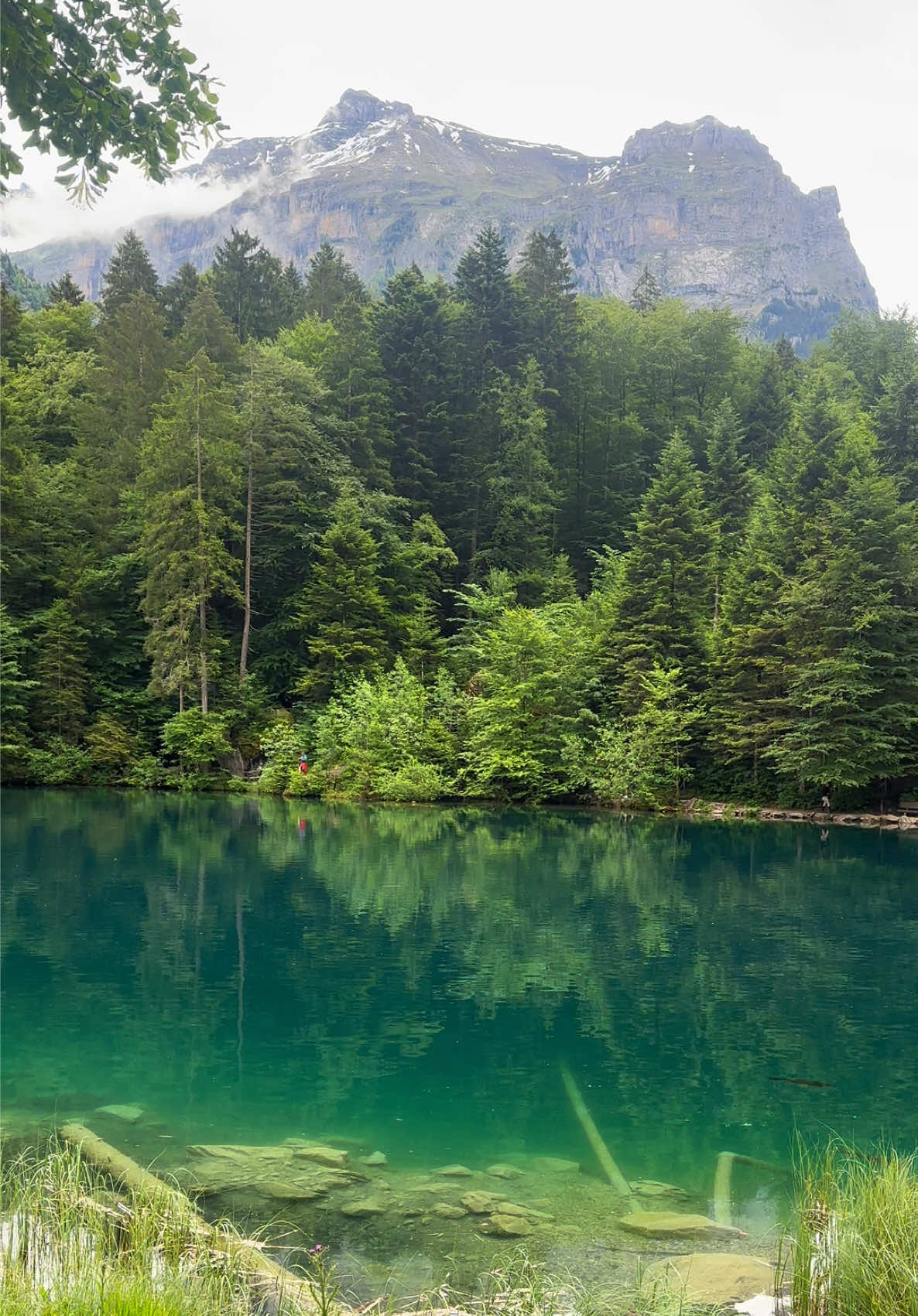 @TravelVibes