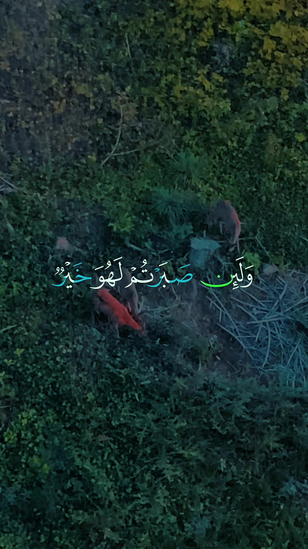 @فلسطيني وافتخر