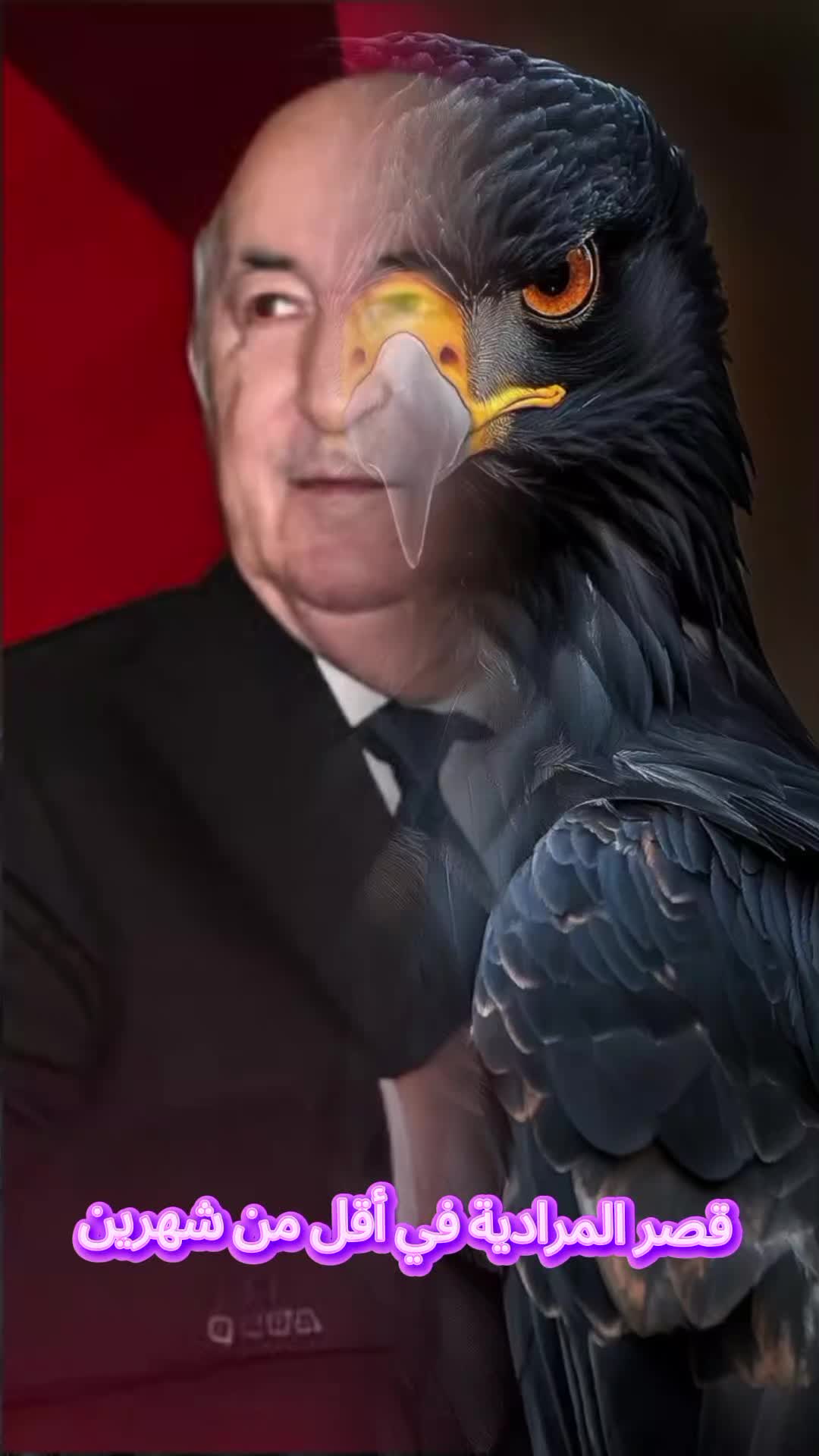 @المهندس