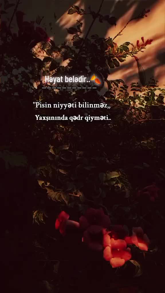 @🍂ŞƏFƏQ🍂