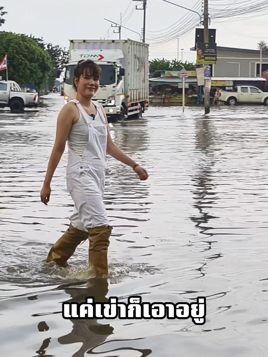@YuPlant หลงใบ