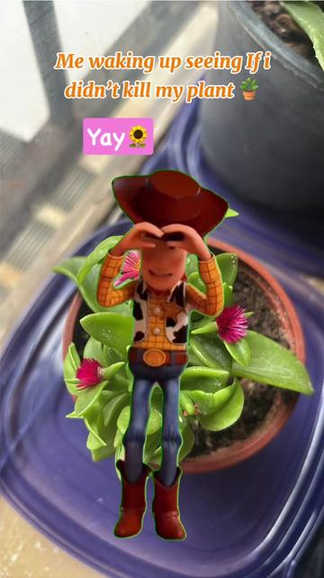@🌝JAckIeMOoON🌝