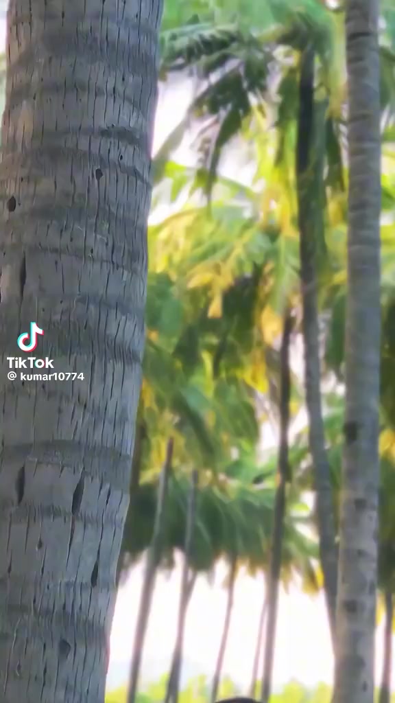 @🔥 Hot Tamil video's 🔥
