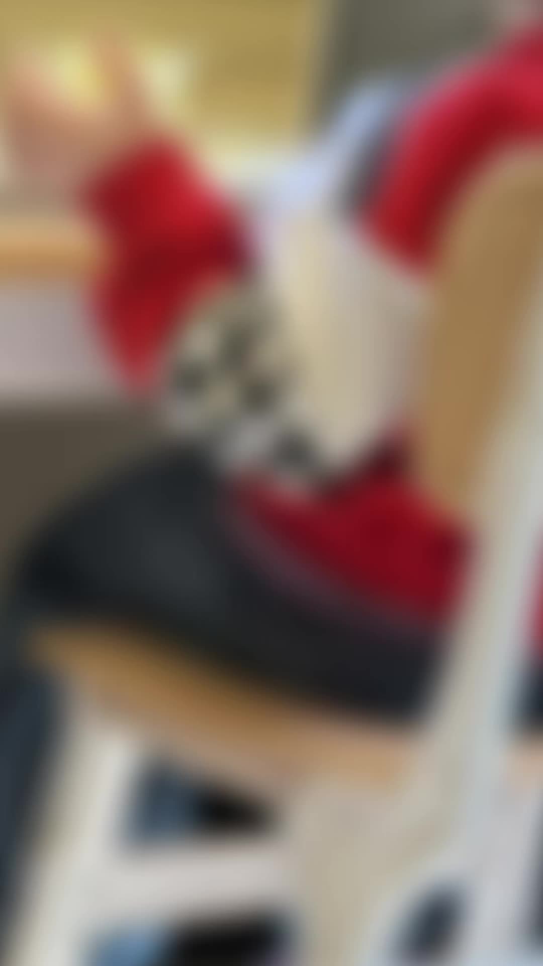 @๐ค๐ค๐ป๐ป