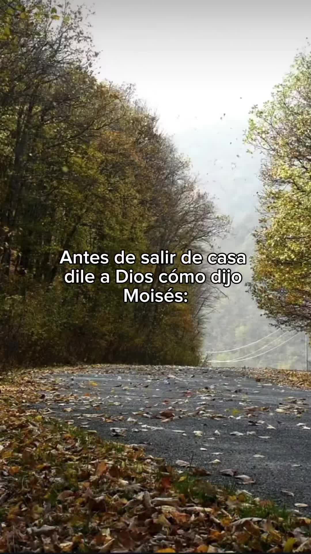 @Yissel