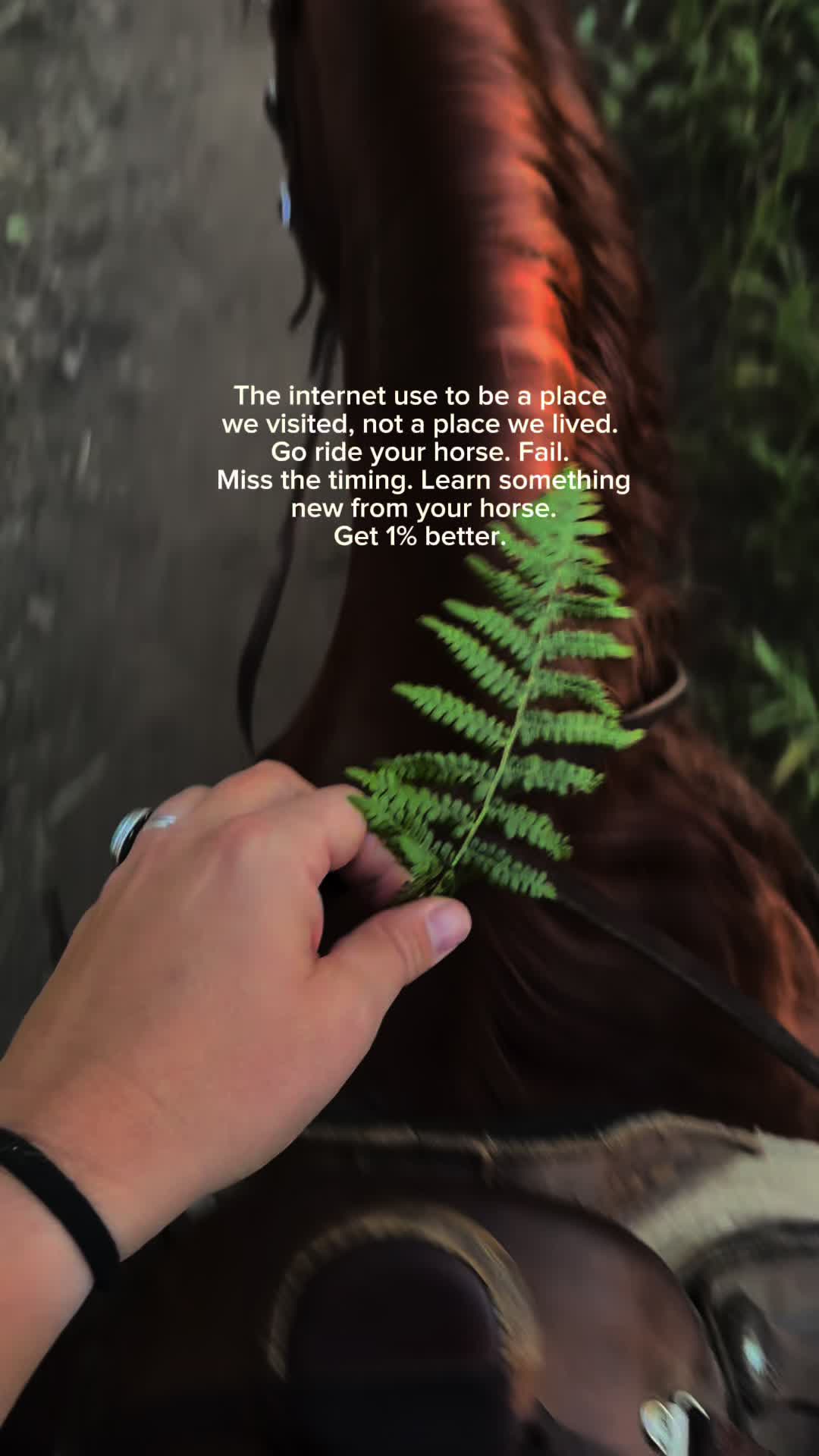 @wild.horsewoman