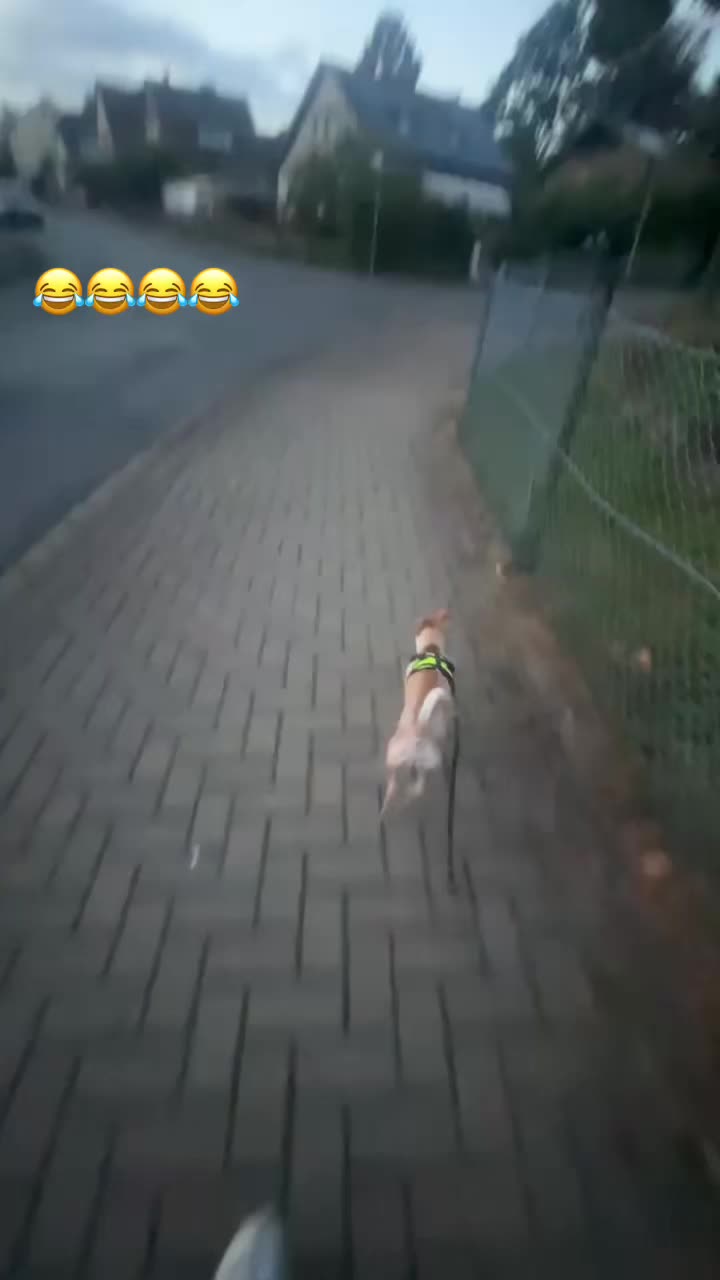 @๐_๐๐๐๐๐_ ๐
