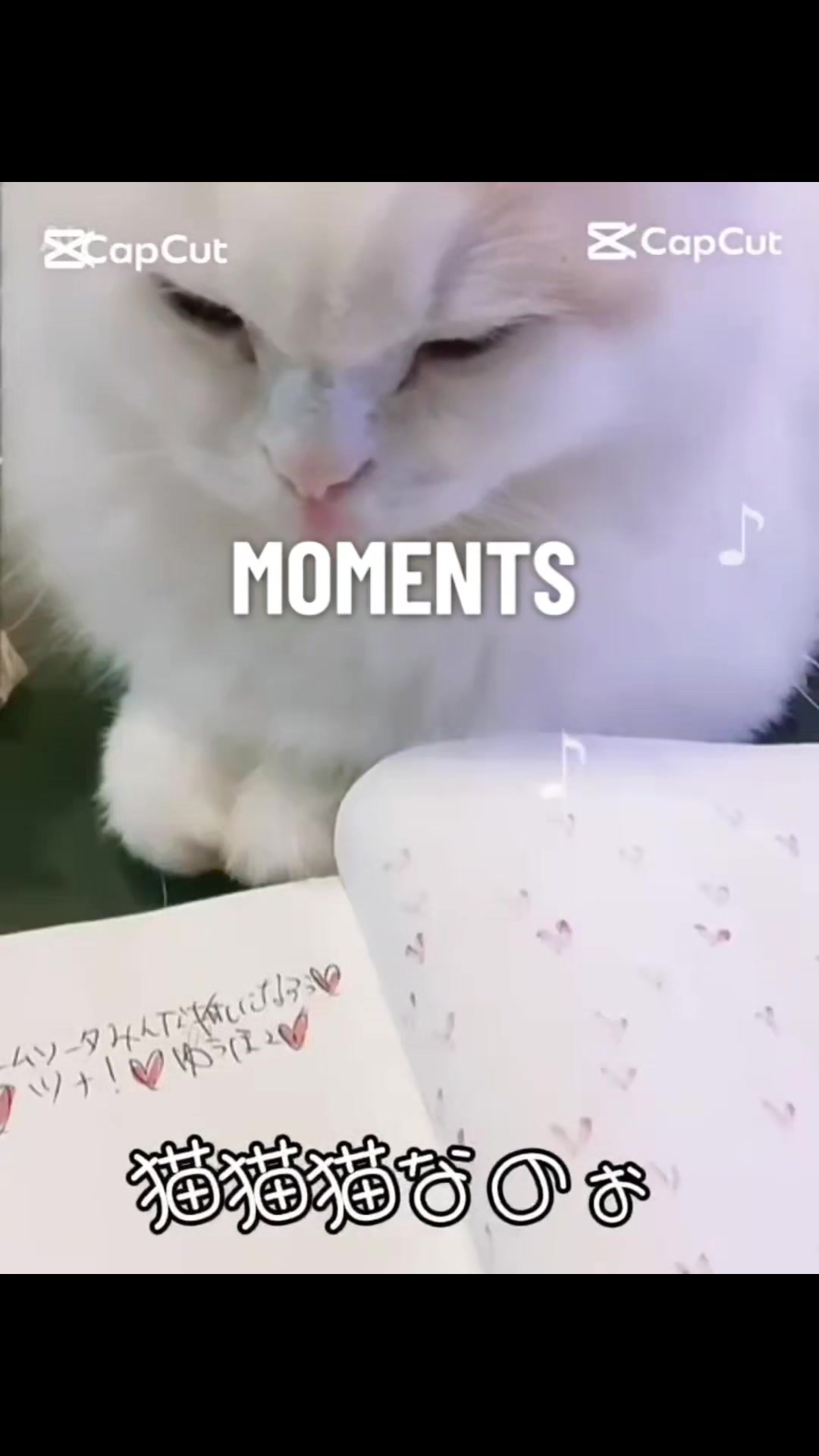 @ðŸããŒã«ð