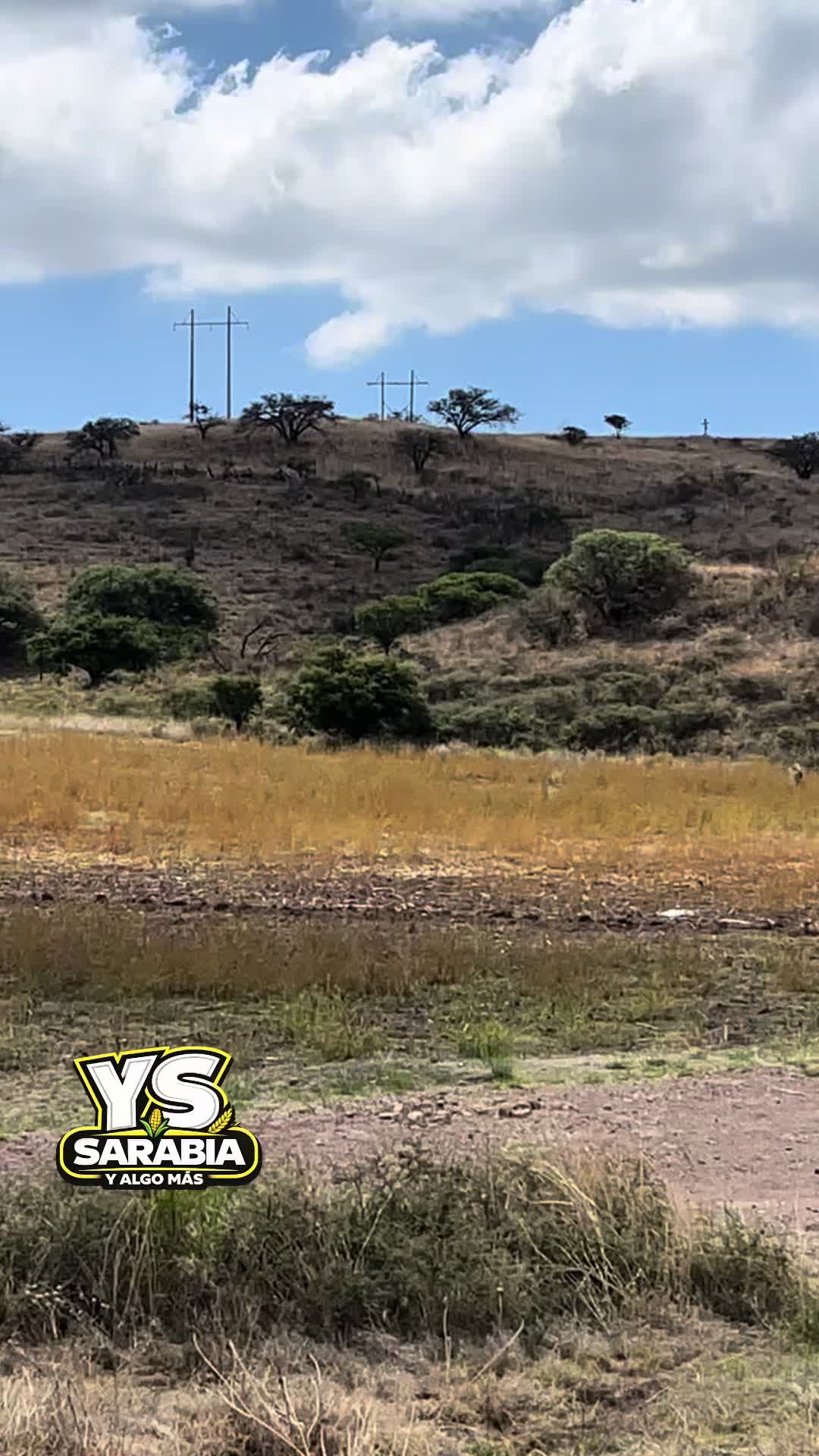 @YS SARABIA Y ALGO MÁS