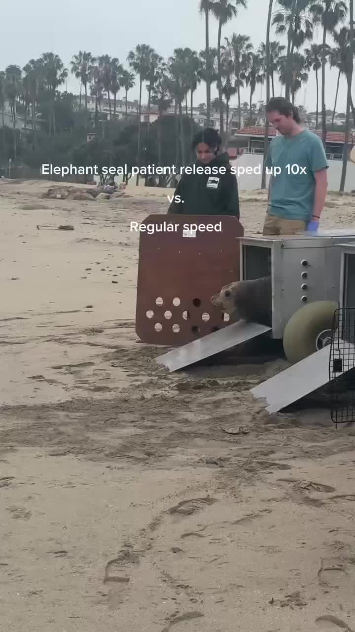 @Marine Mammal Care