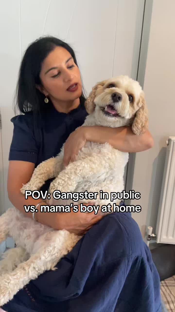 @My Cavachon