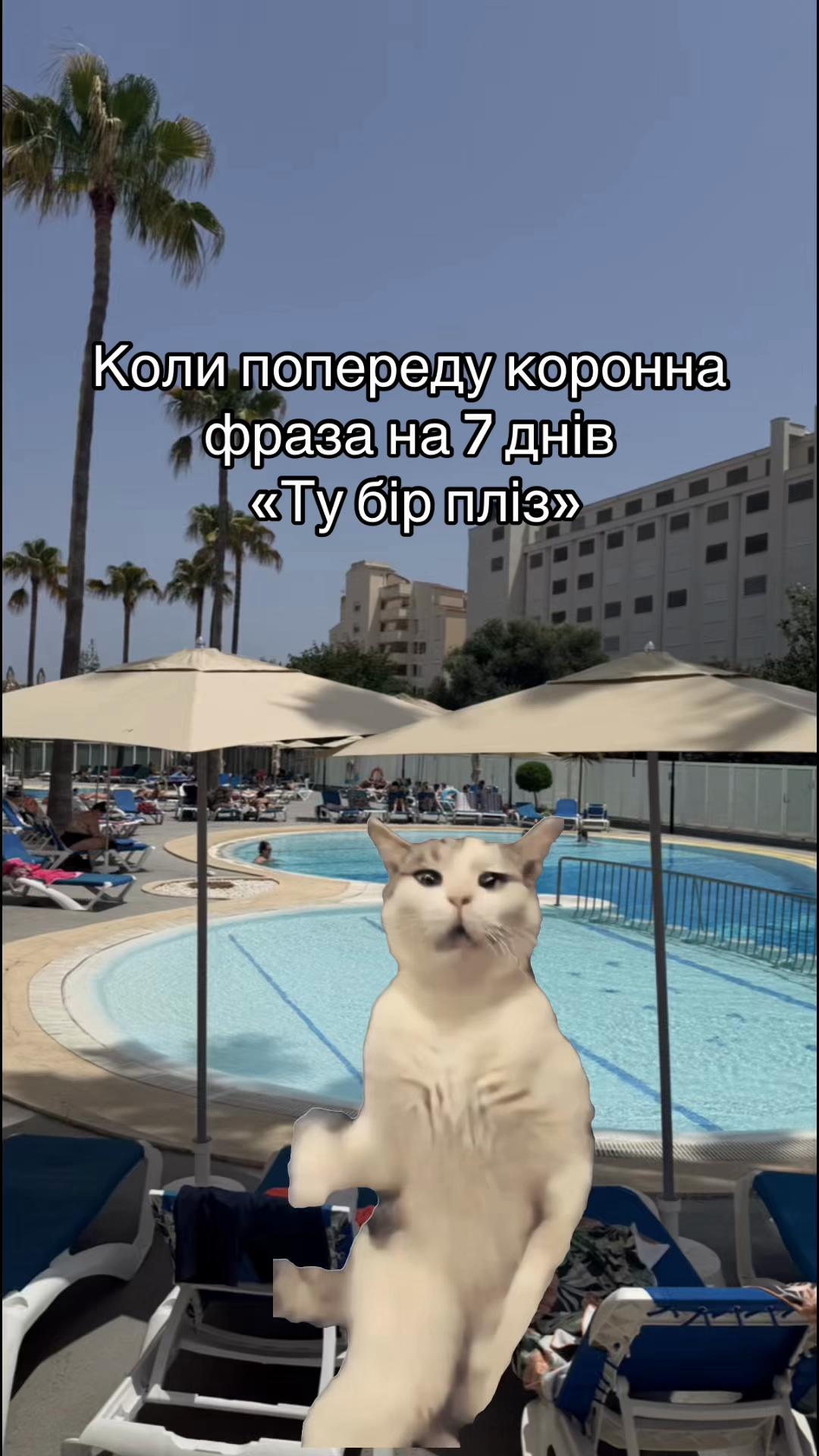 @Vanilla
