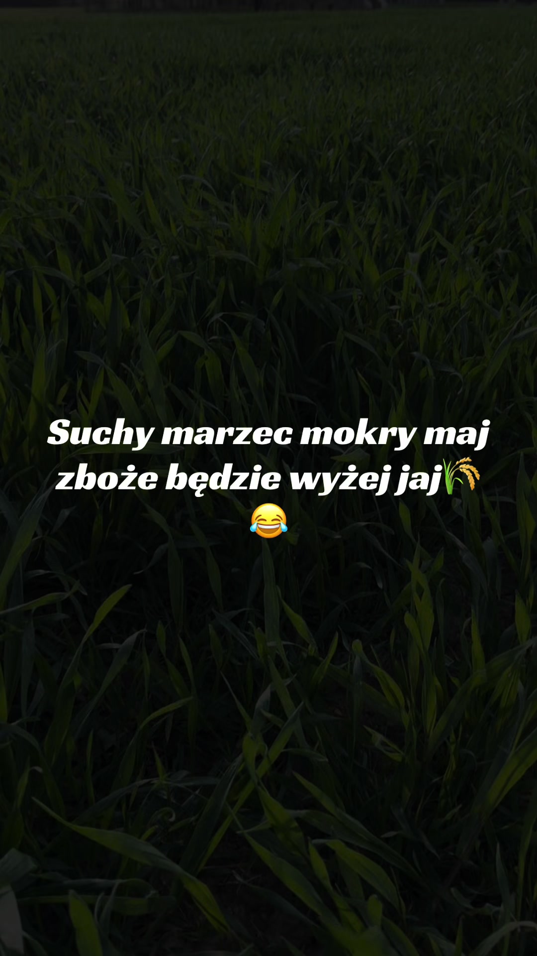@MajsterMTM
