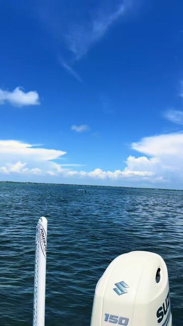@Reel Hooker 🎣