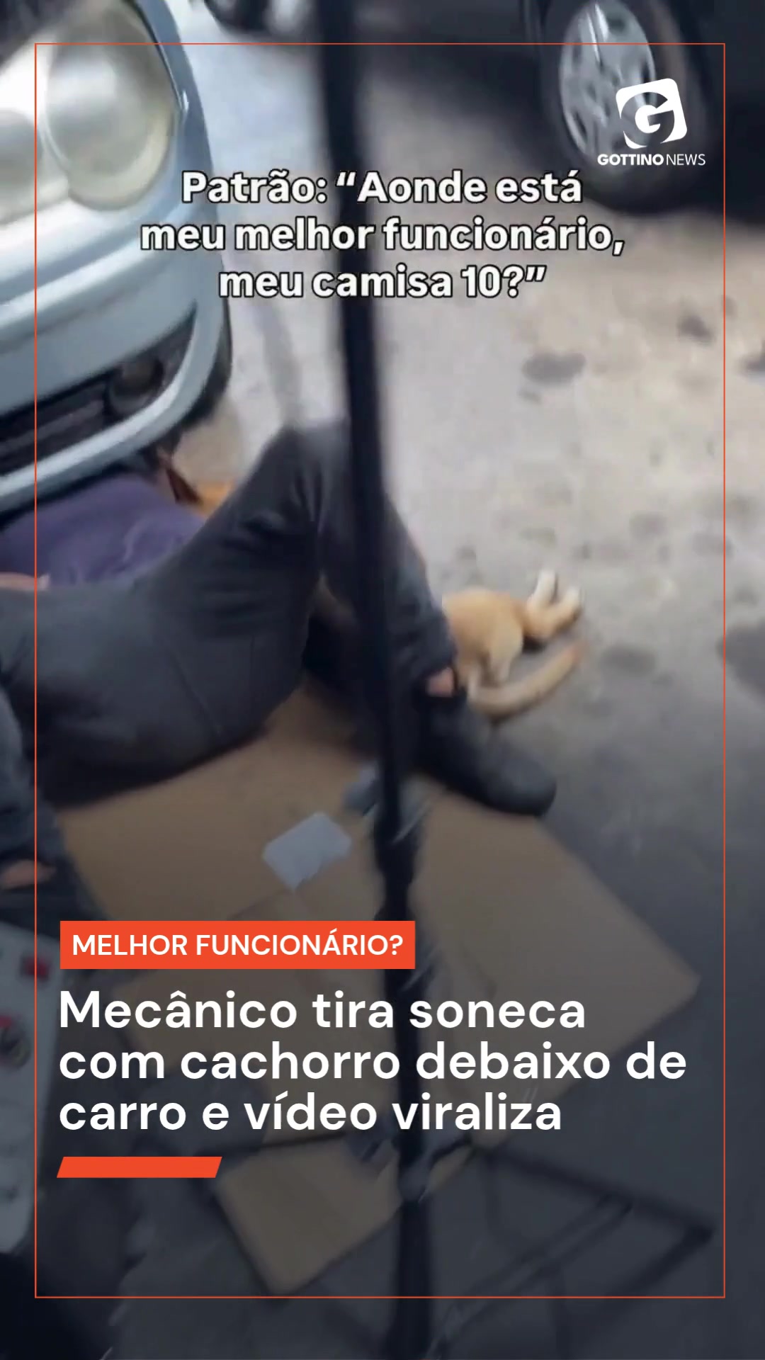 @Reinaldo Gottino