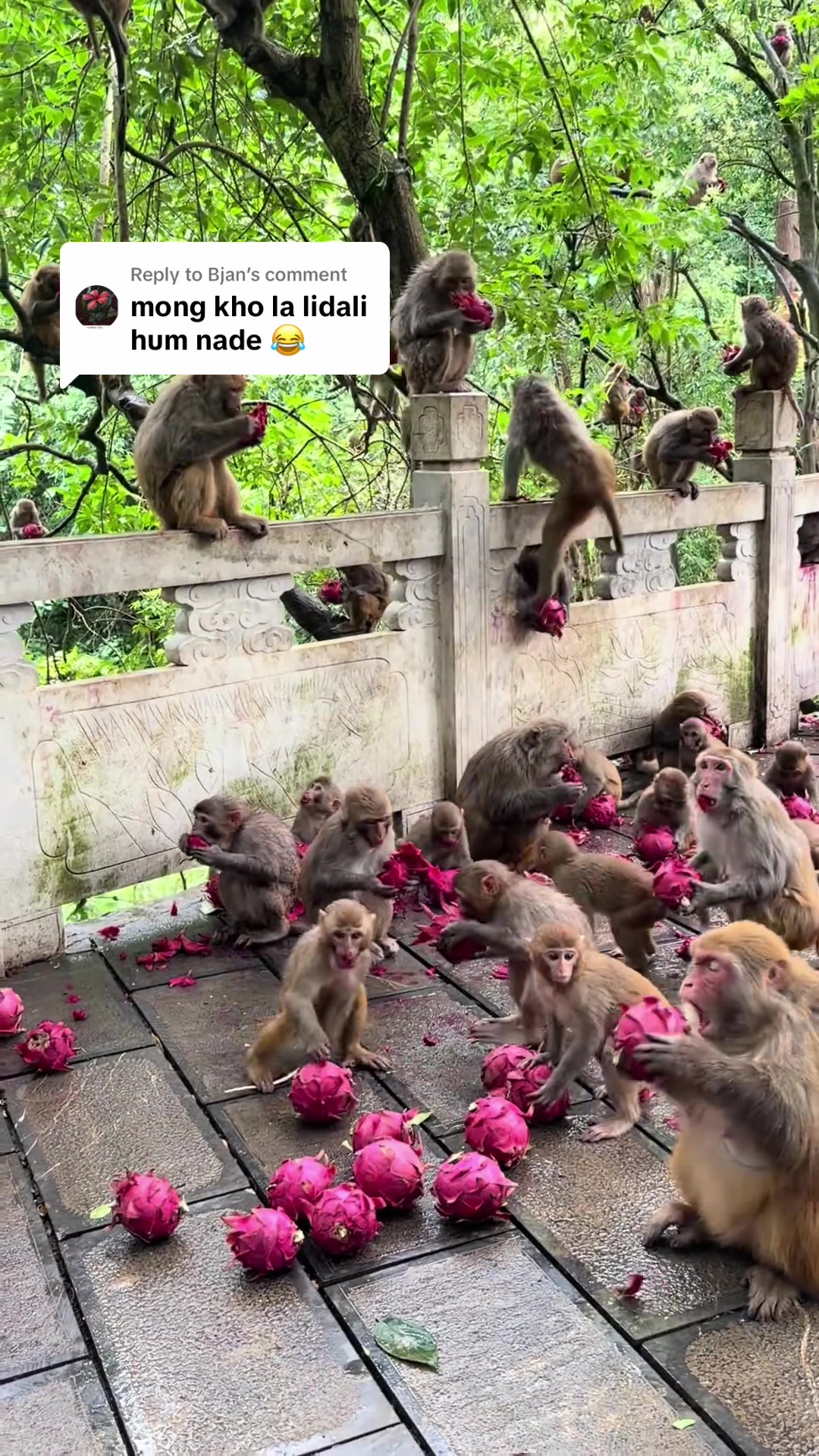 @Dr Ali in china🇨🇳