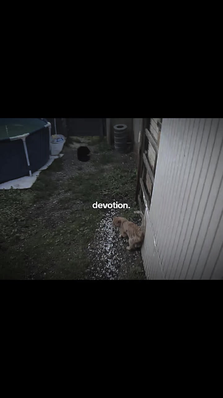 @З