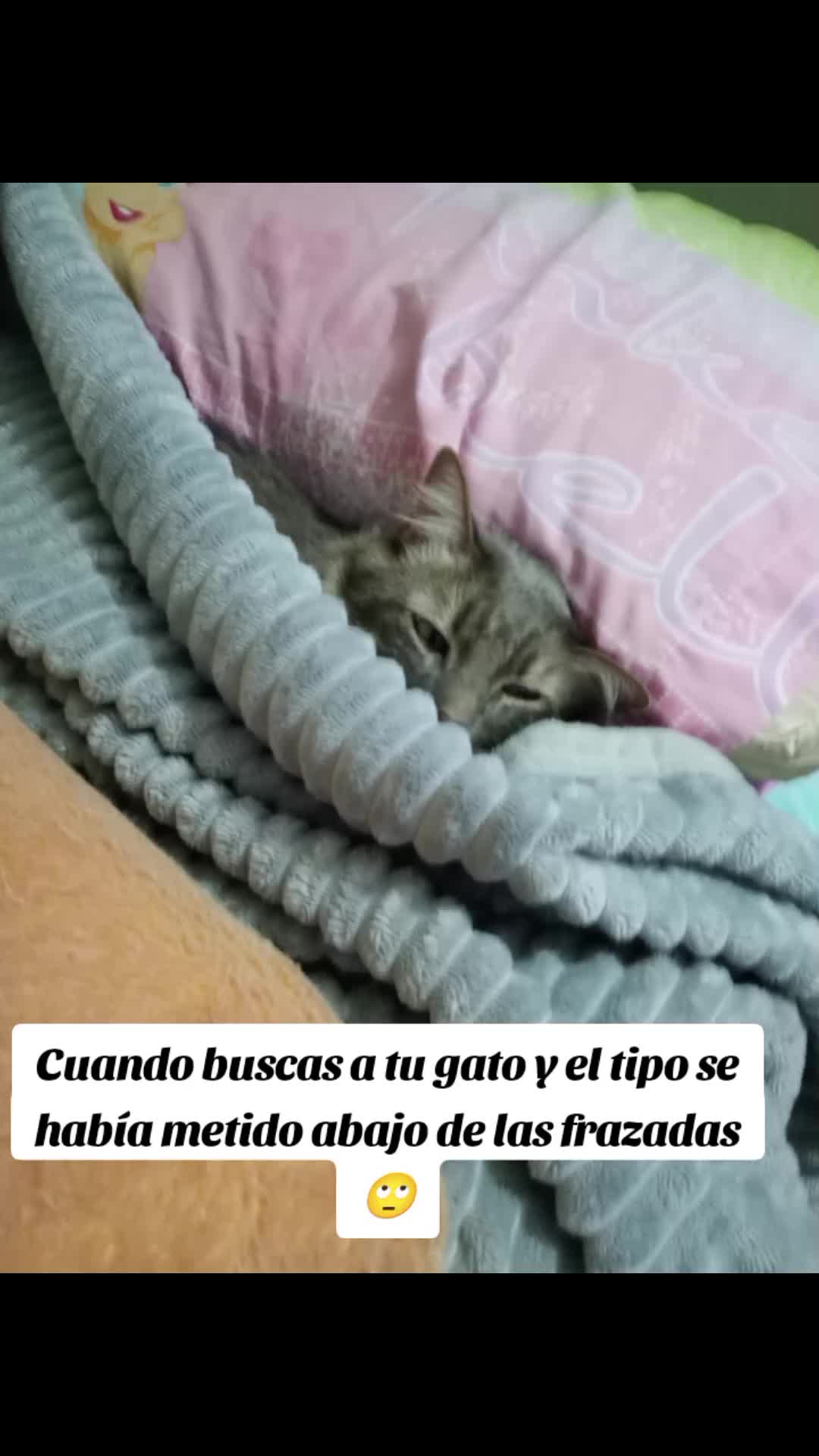 @Natalia Facenta