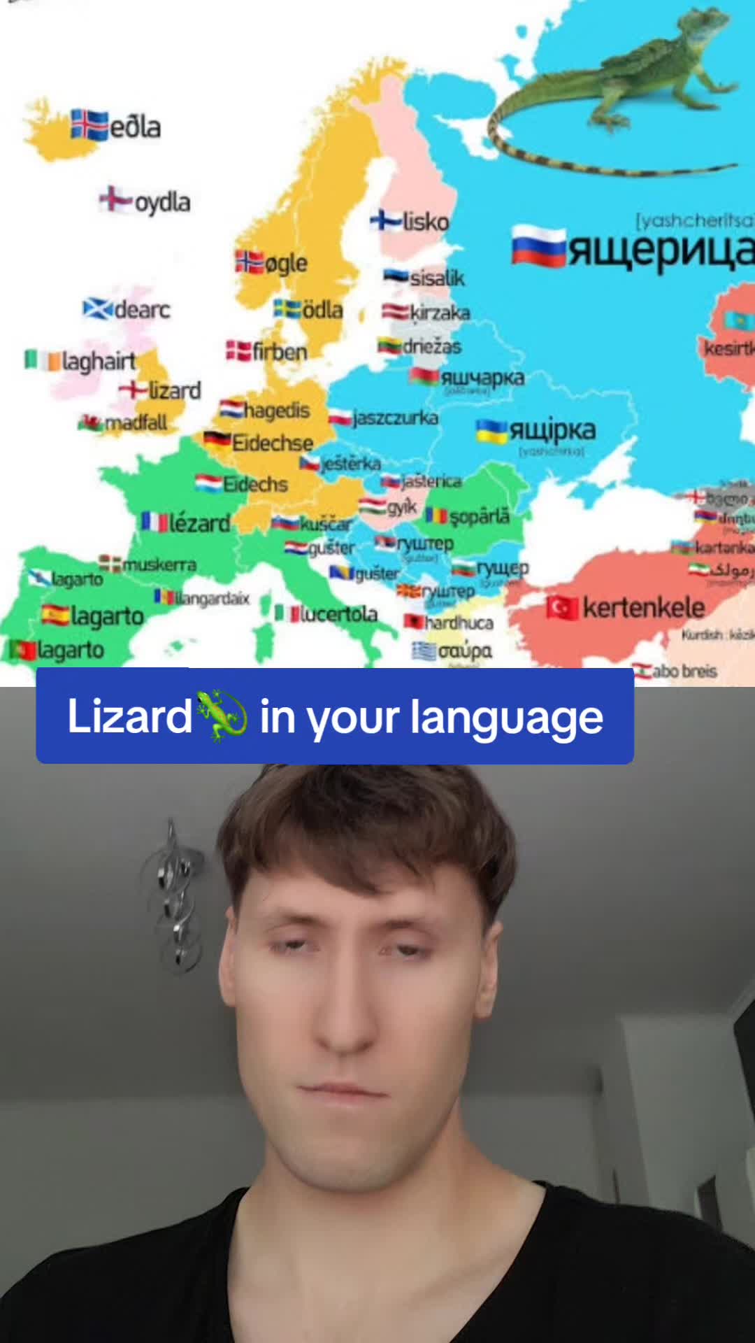 @Andreas Bro!!!🇵🇱