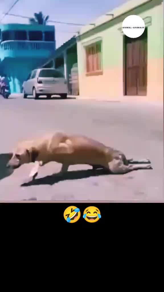 @SandroG.73