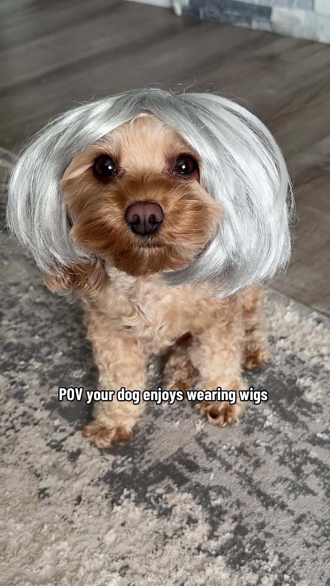 @sarahgrayandtall