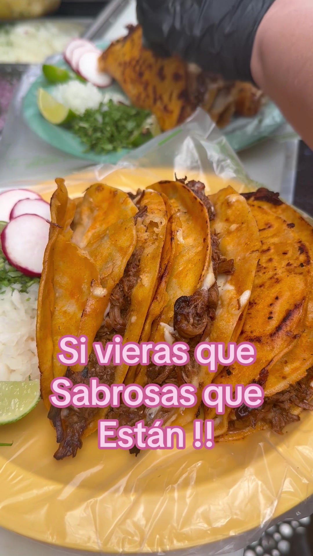 @taconmadremzt
