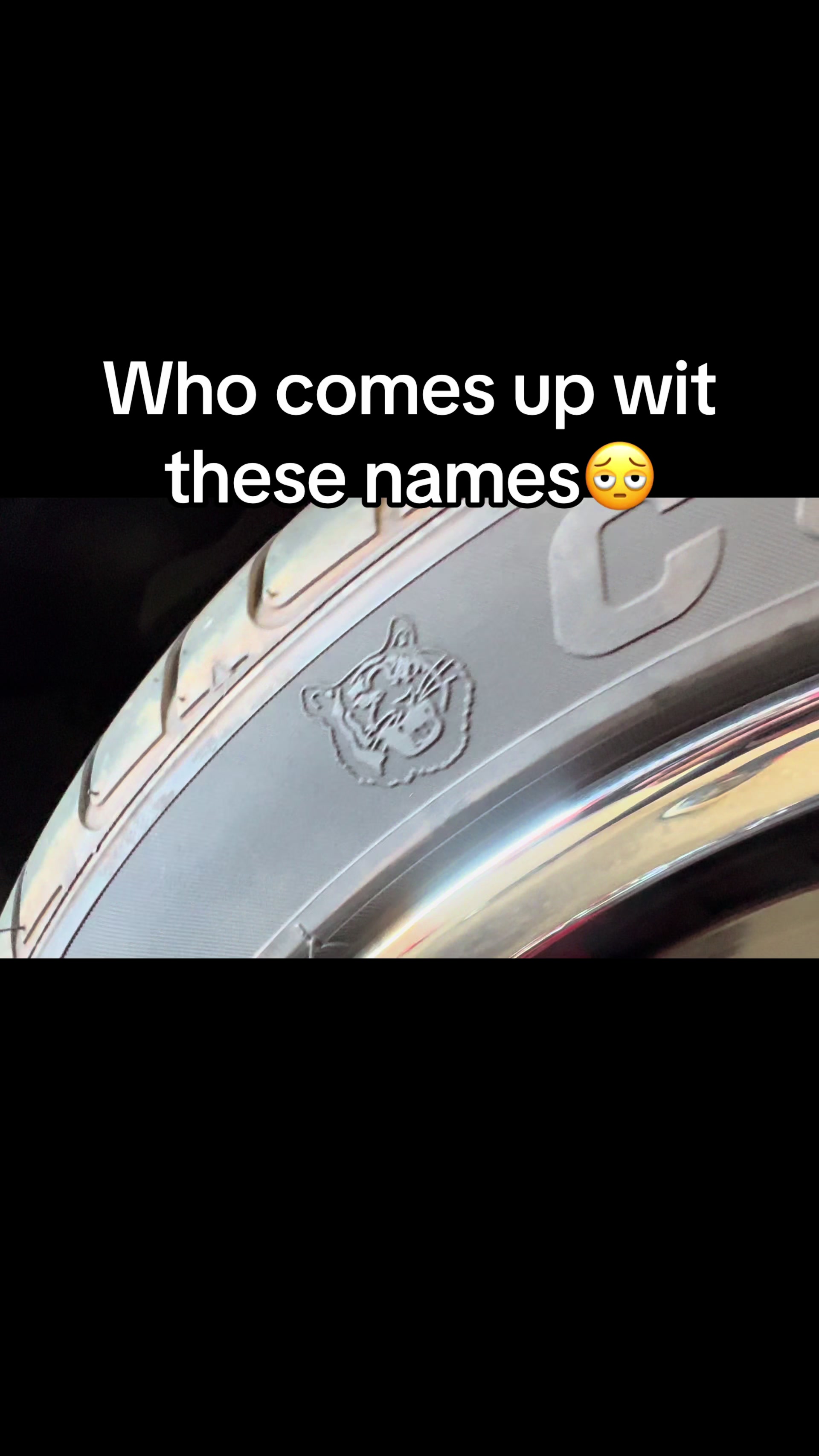 @thepplstransportation
