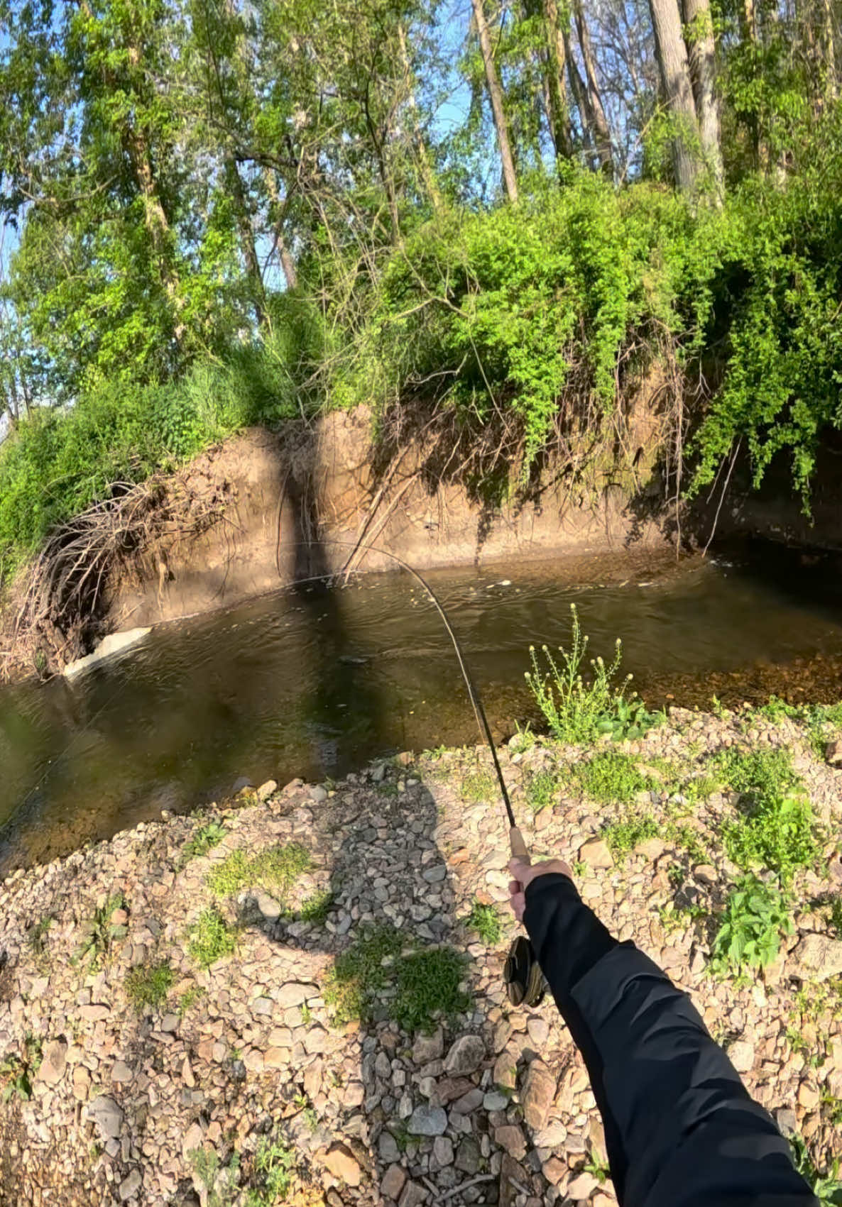 @FlyFishDelawhere