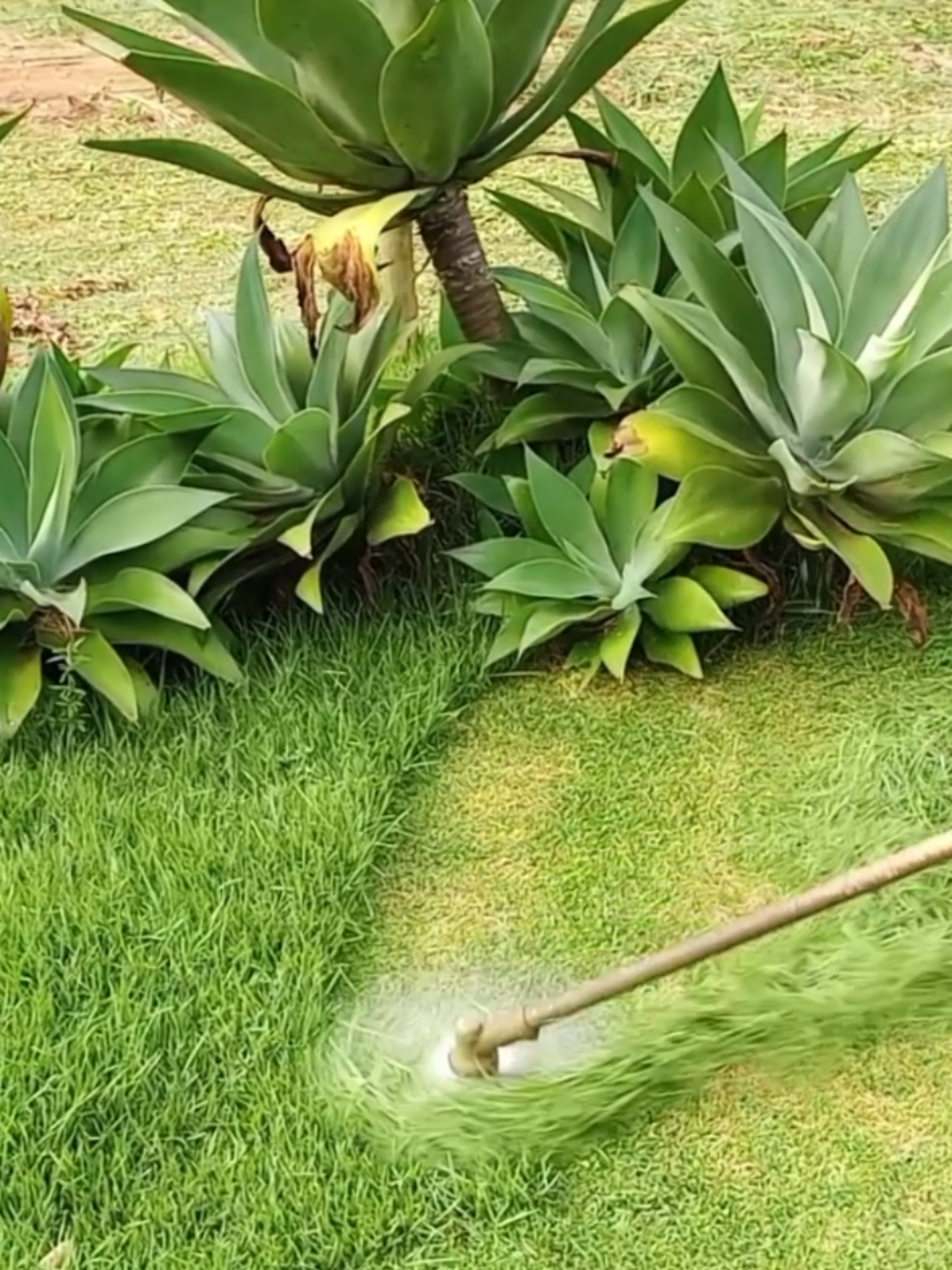 @Satisfying Mowing