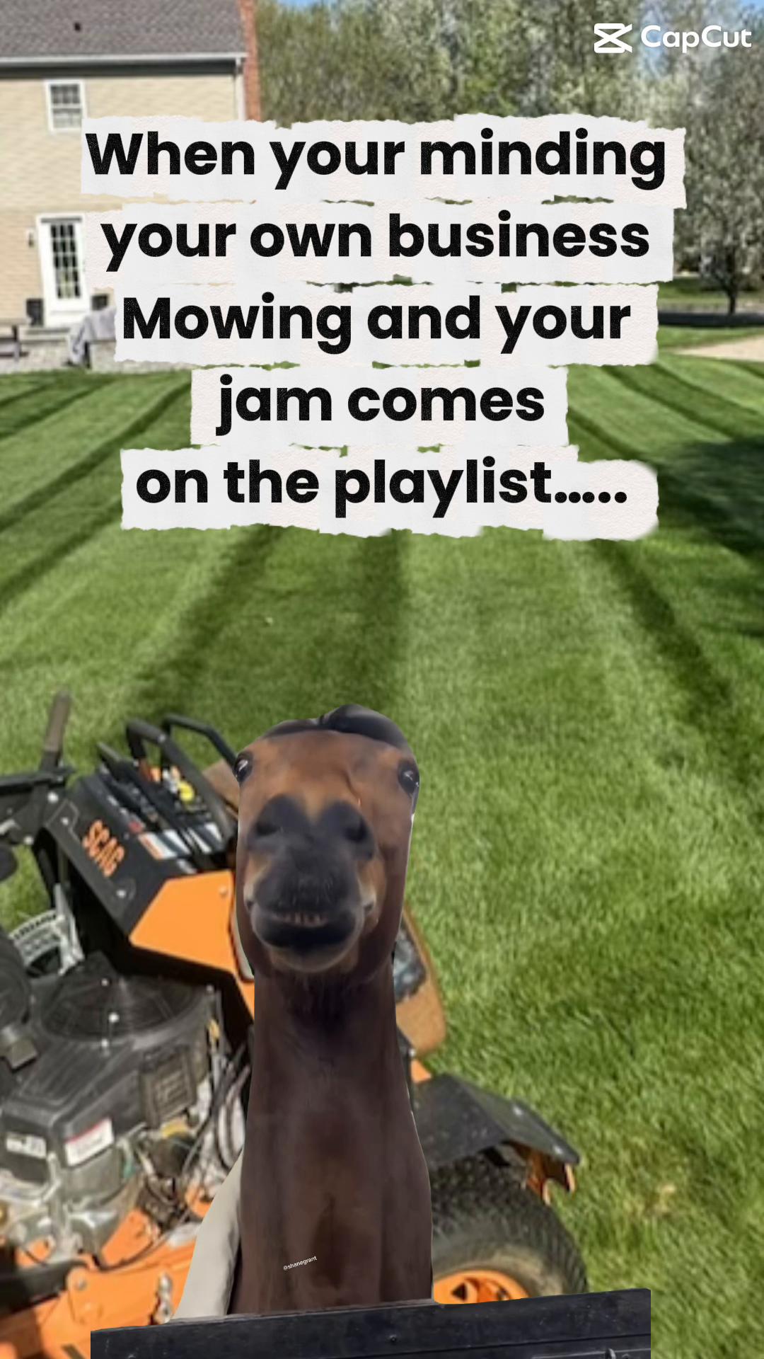 @Baileyboyslawn