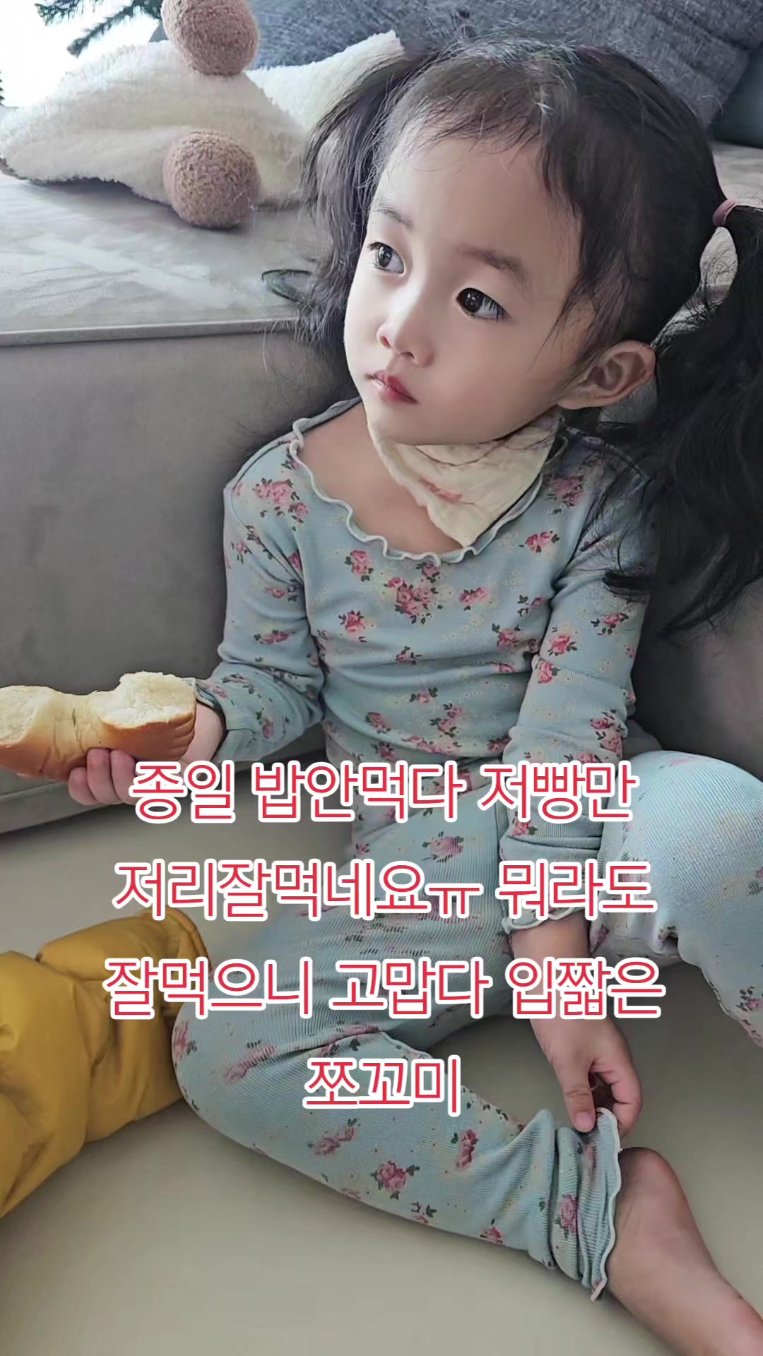 @지예건어물❤️고애❤️