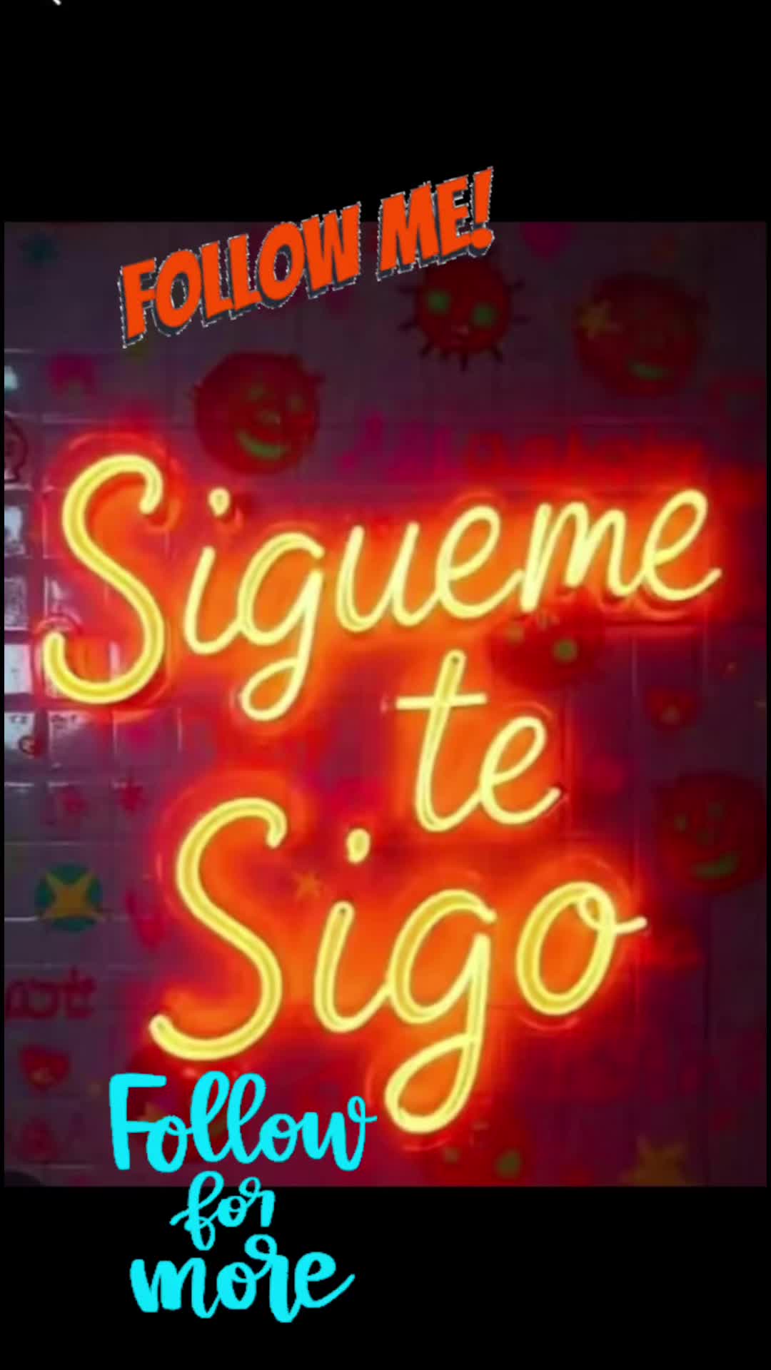 @adela40lara