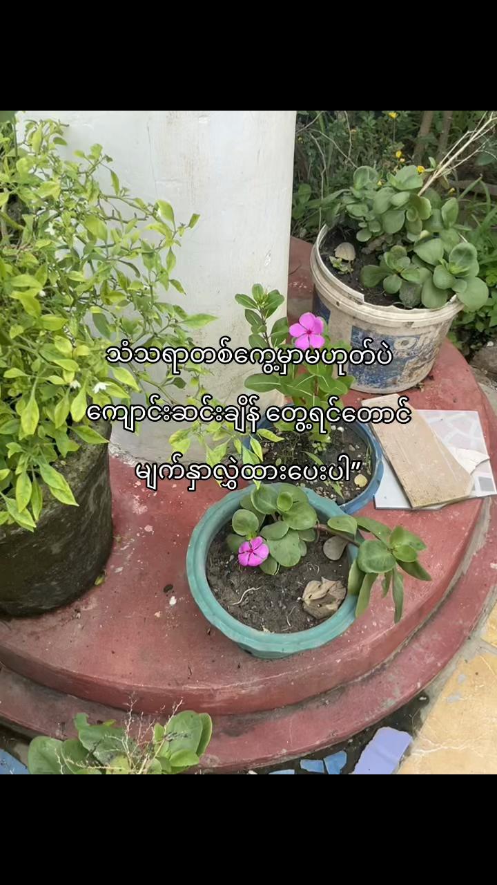 @T