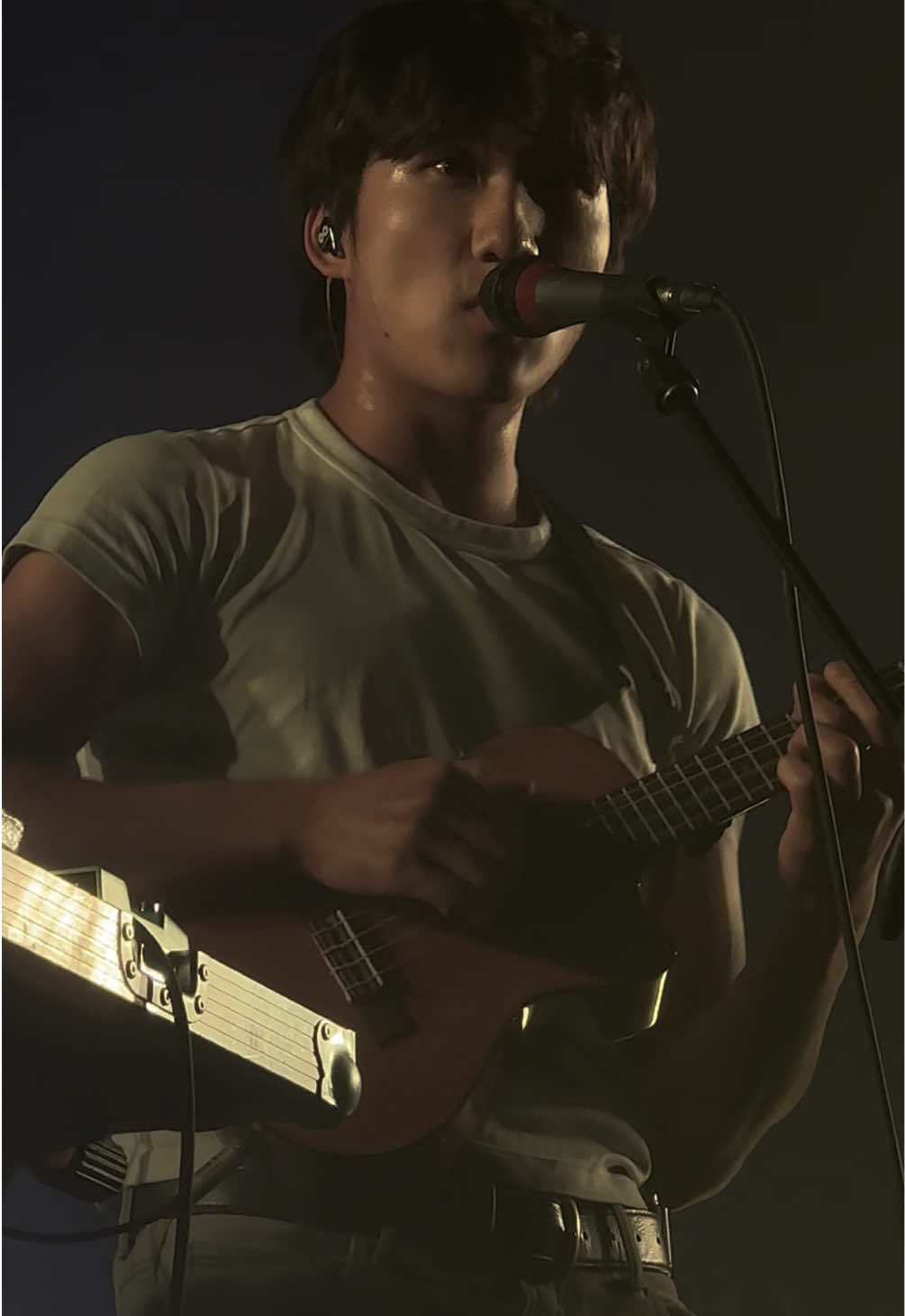 @boywithukeco