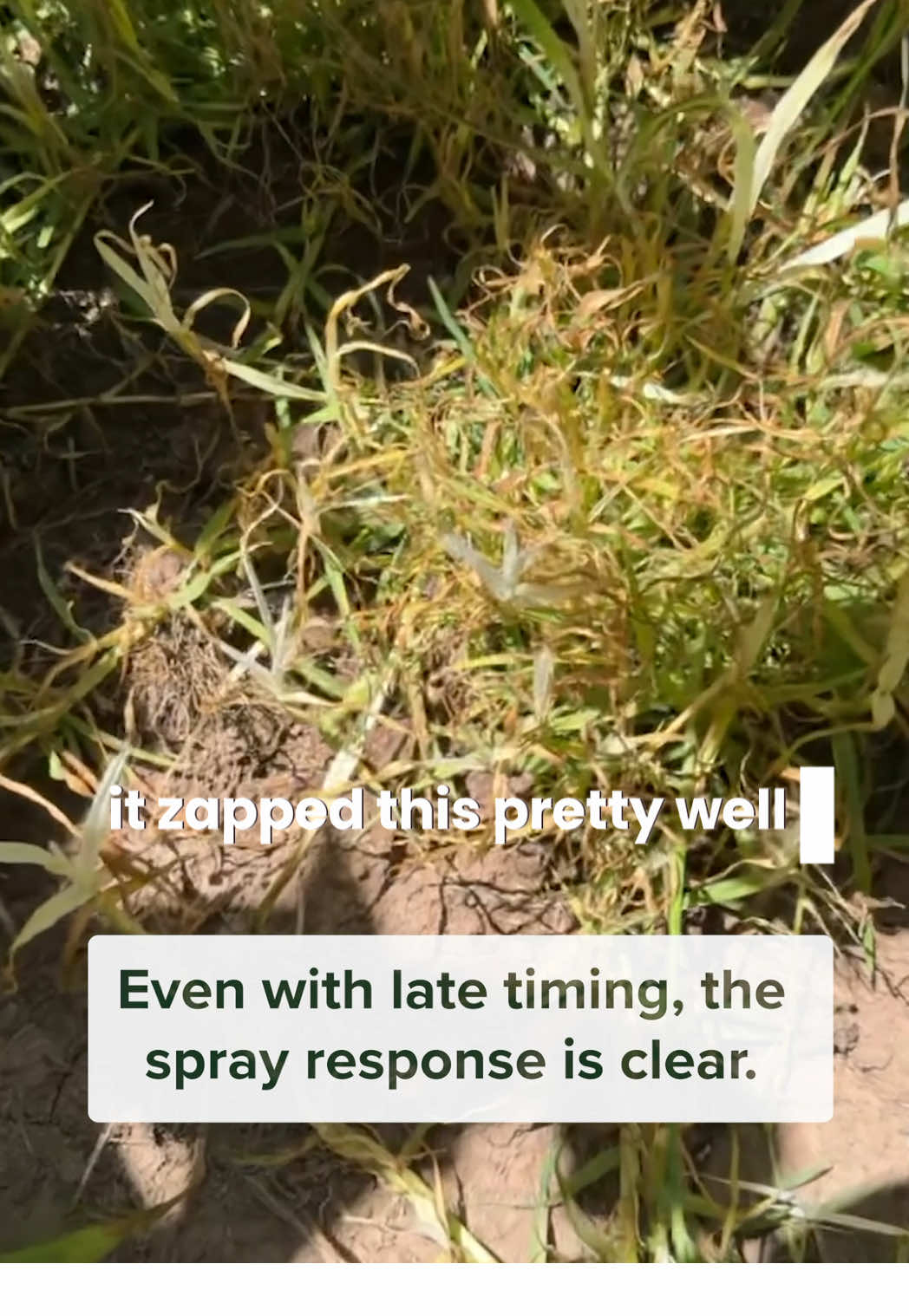 @notmanpasture