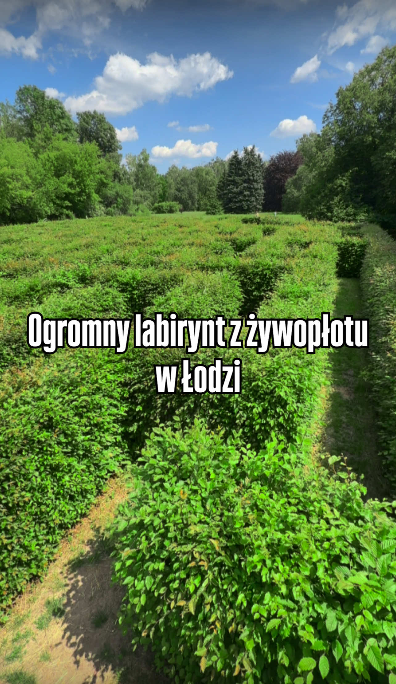 @Zwyczajna z Łodzi