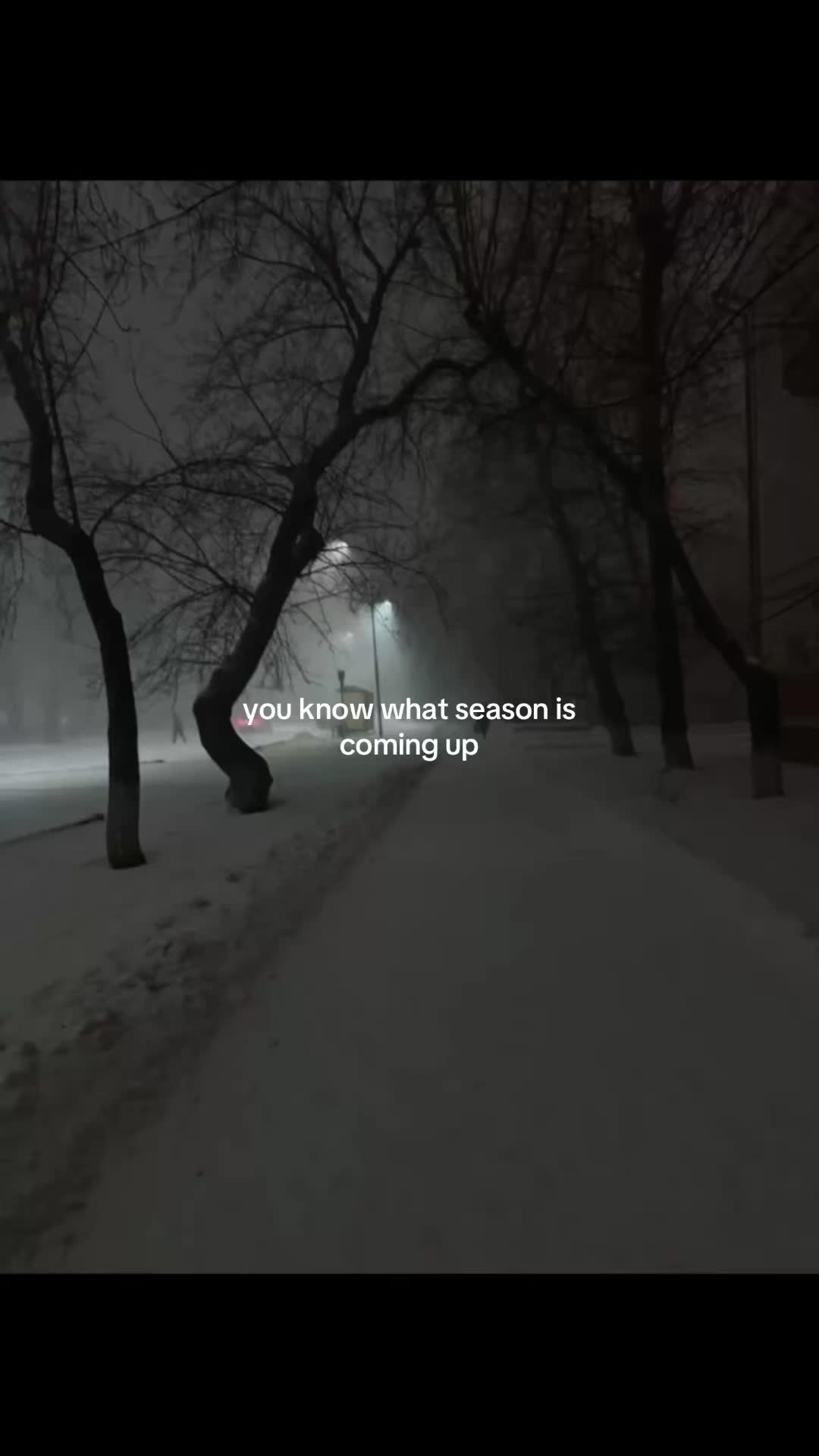 @qsuzae
