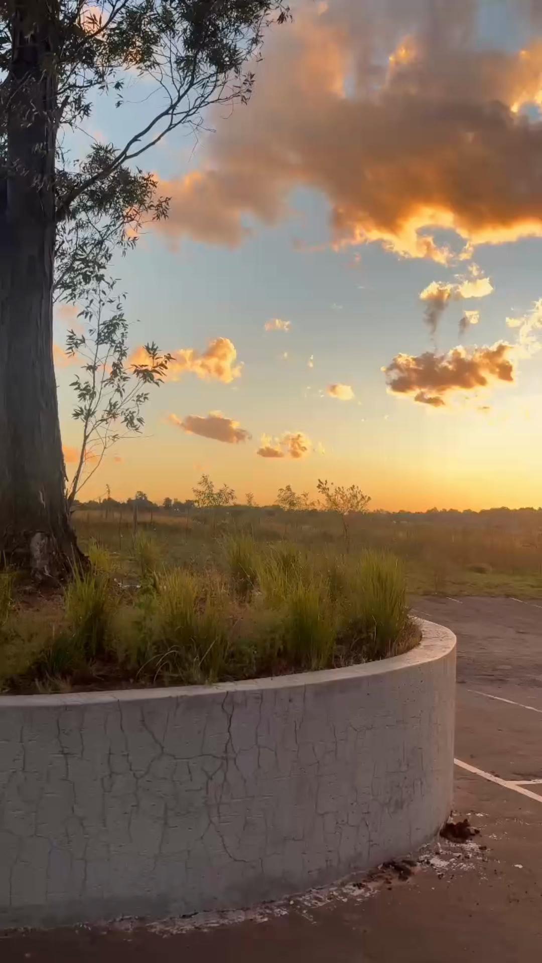 @TlangyM🥰