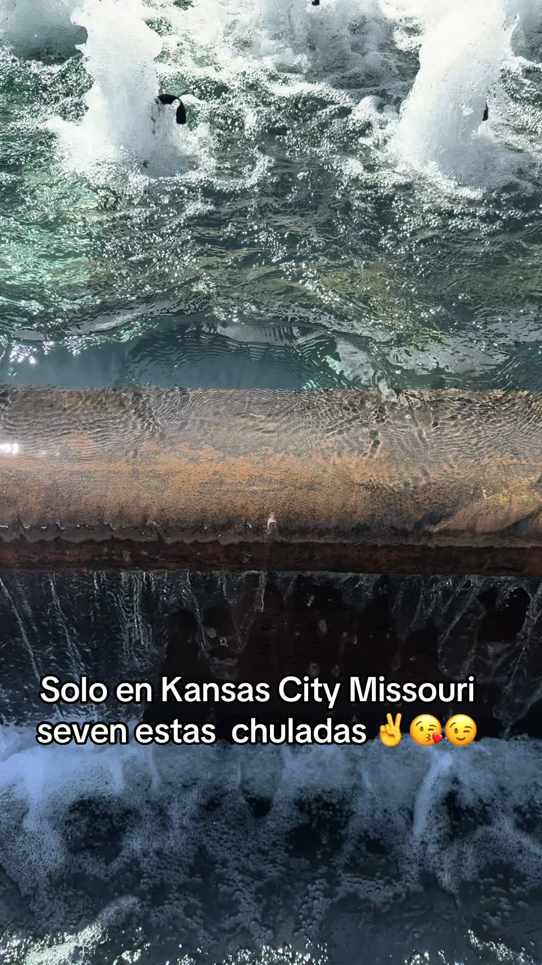 @Chaparita503๐๐