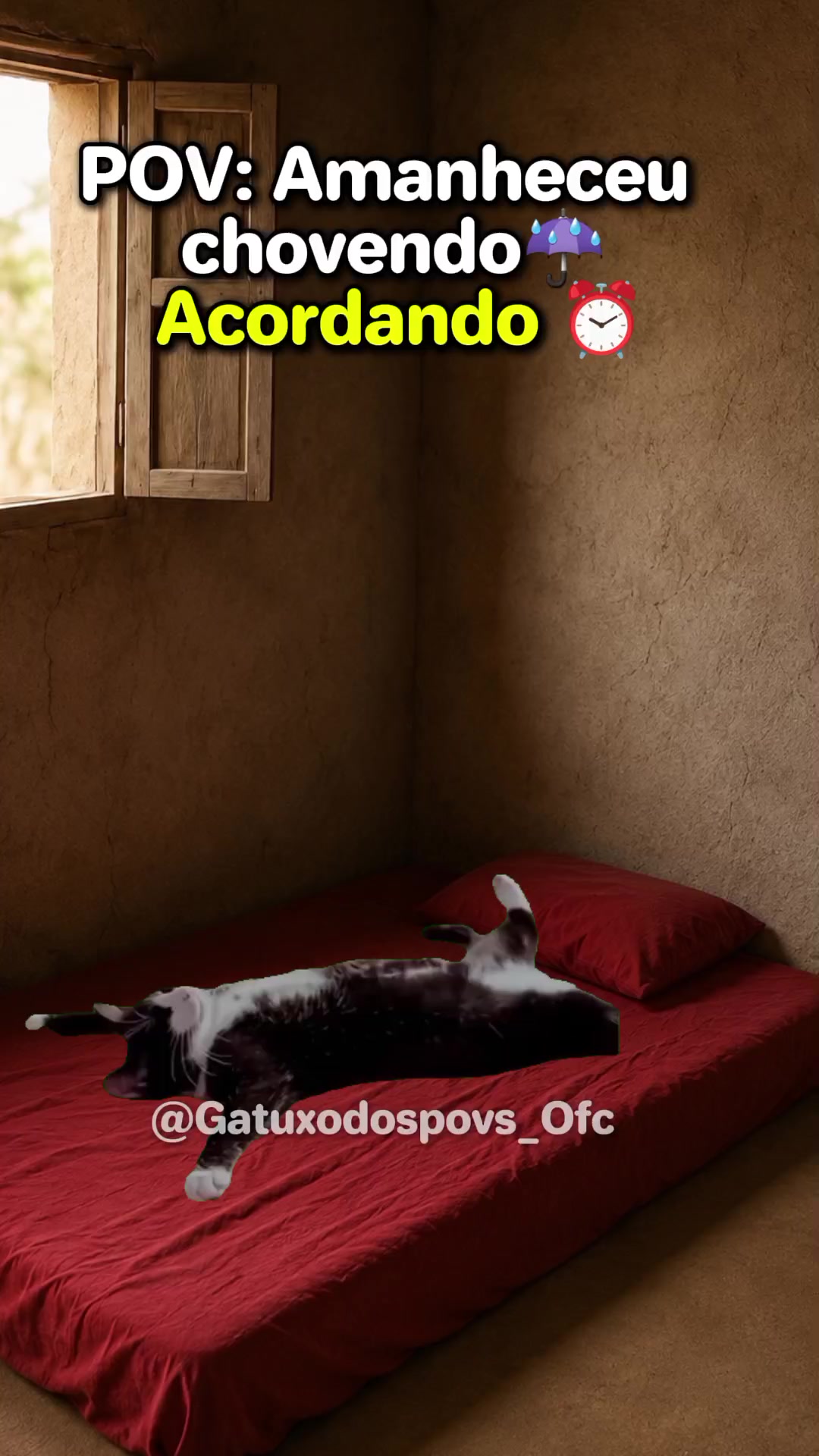 @Gatuxo Dos Povs Ofc