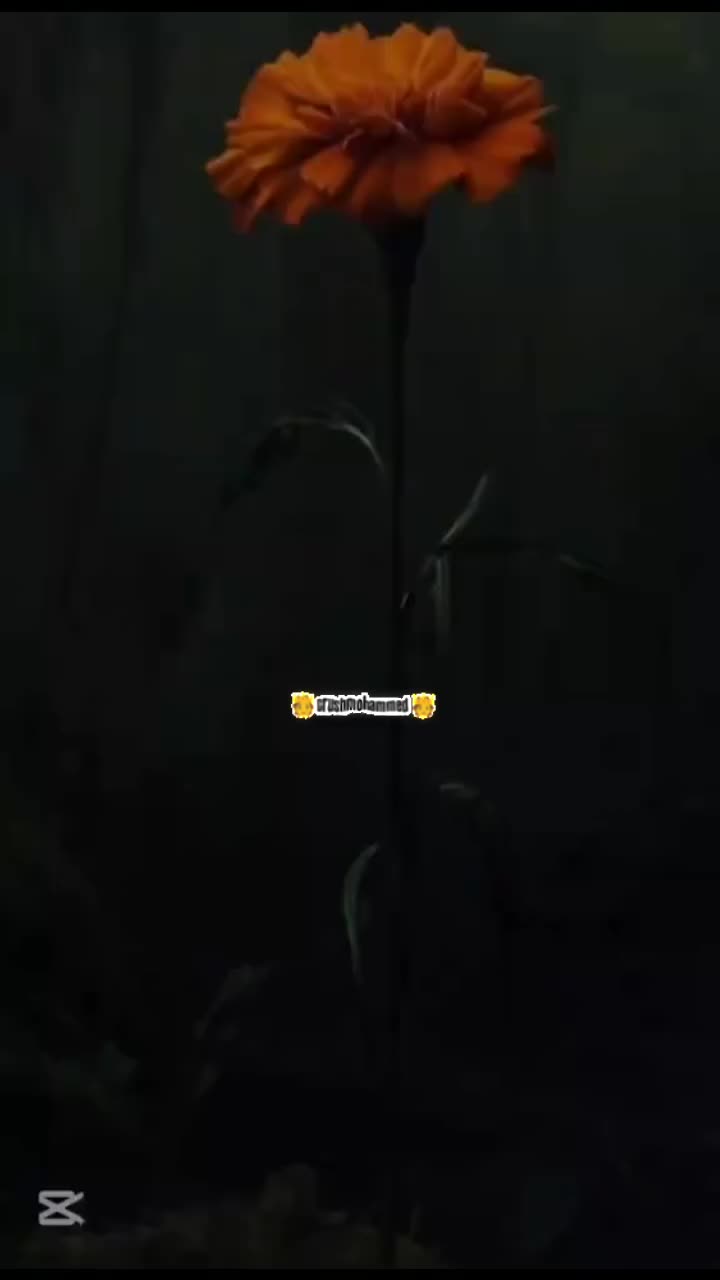 @๐๐๐ ๐๐๐๐๐๐