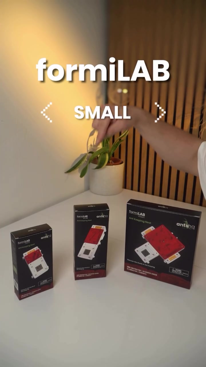@antshq