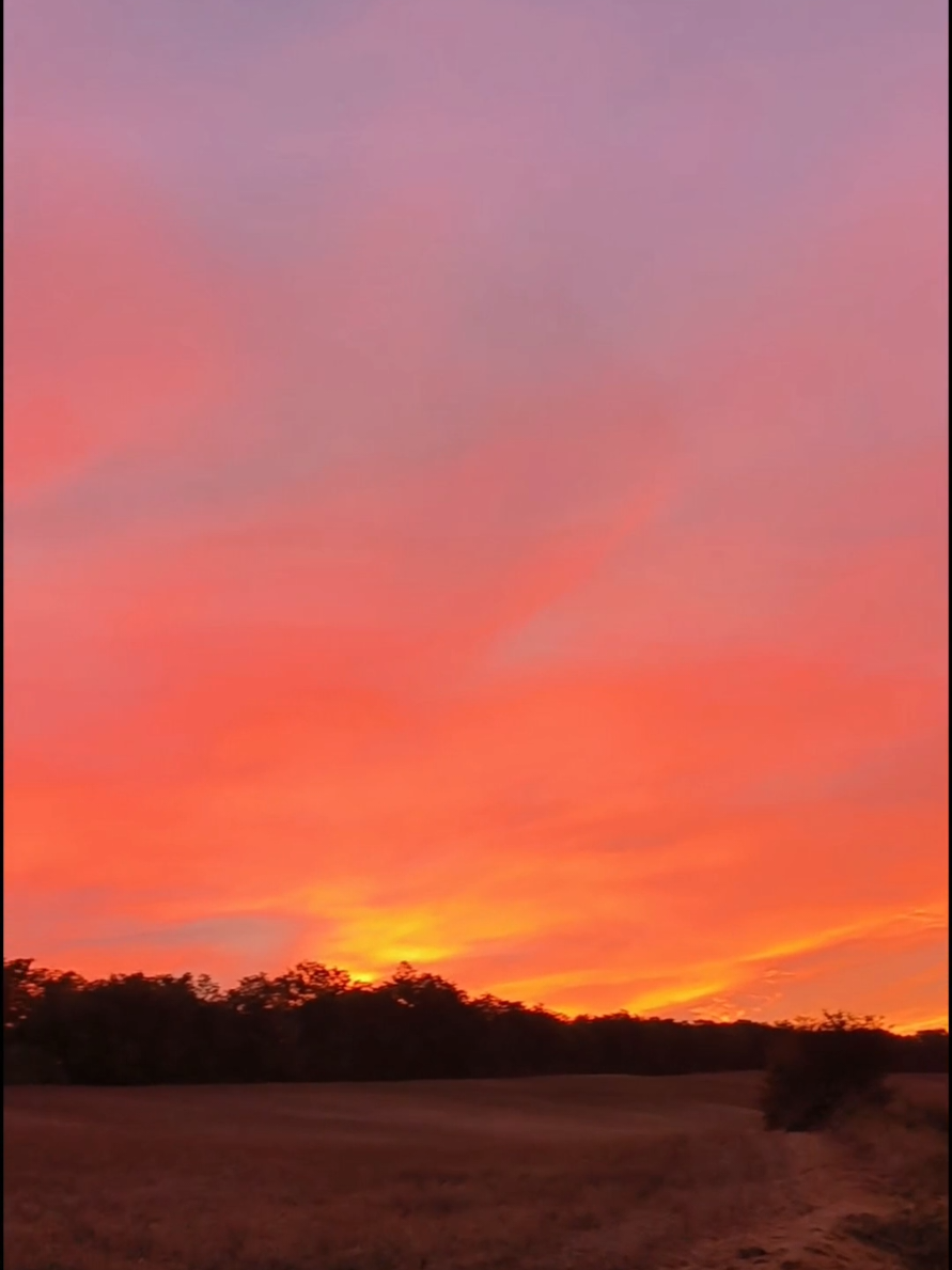@fee_carabos